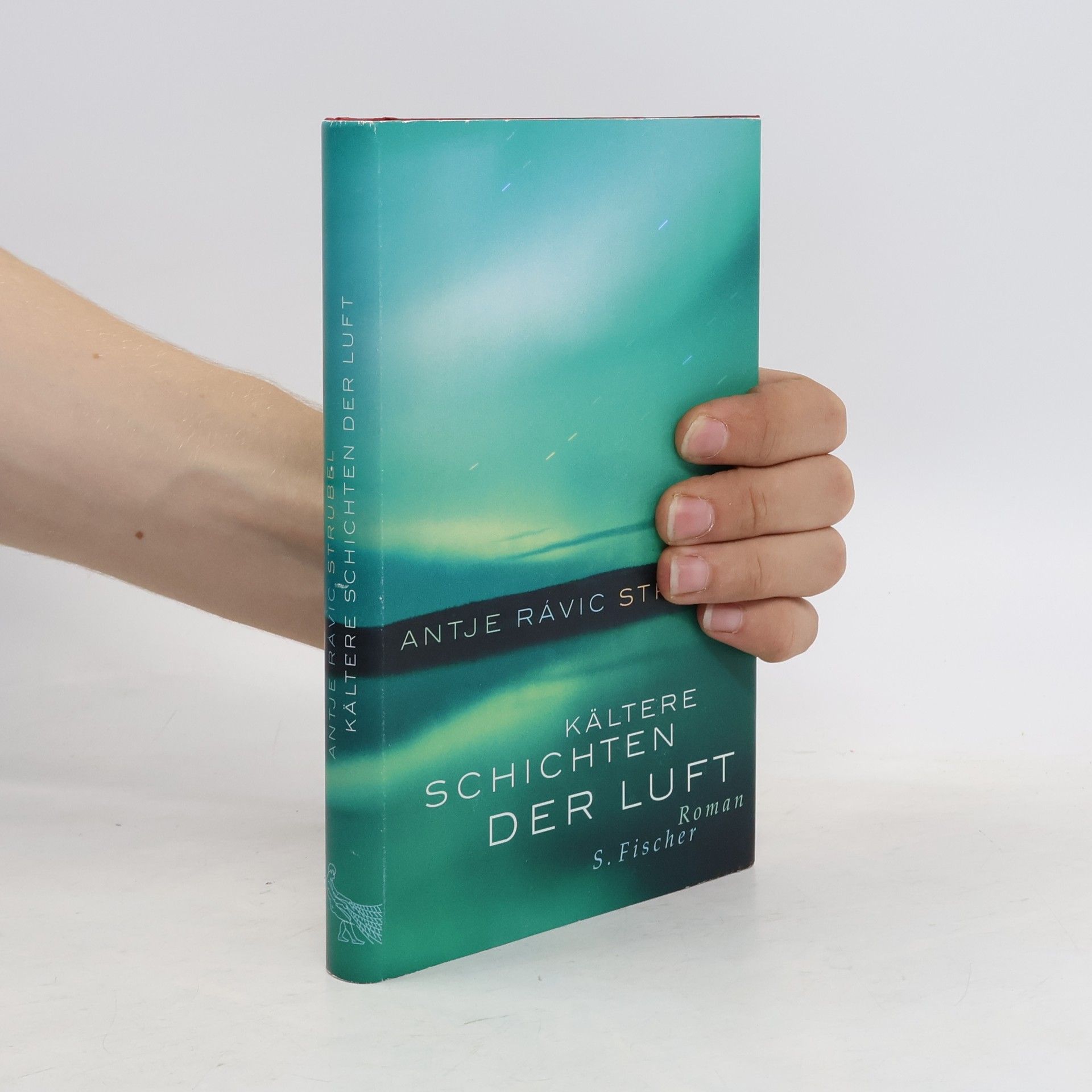 Antje Rávik Strubel Kältere Schichten der Luft