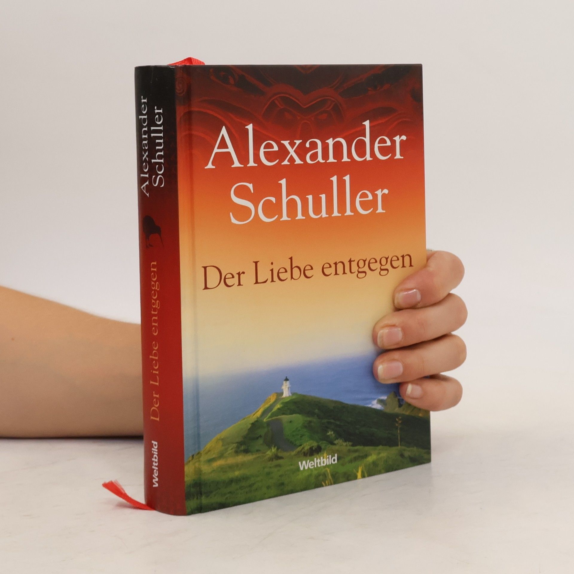 Alexander Schuller Der Liebe entgegen
