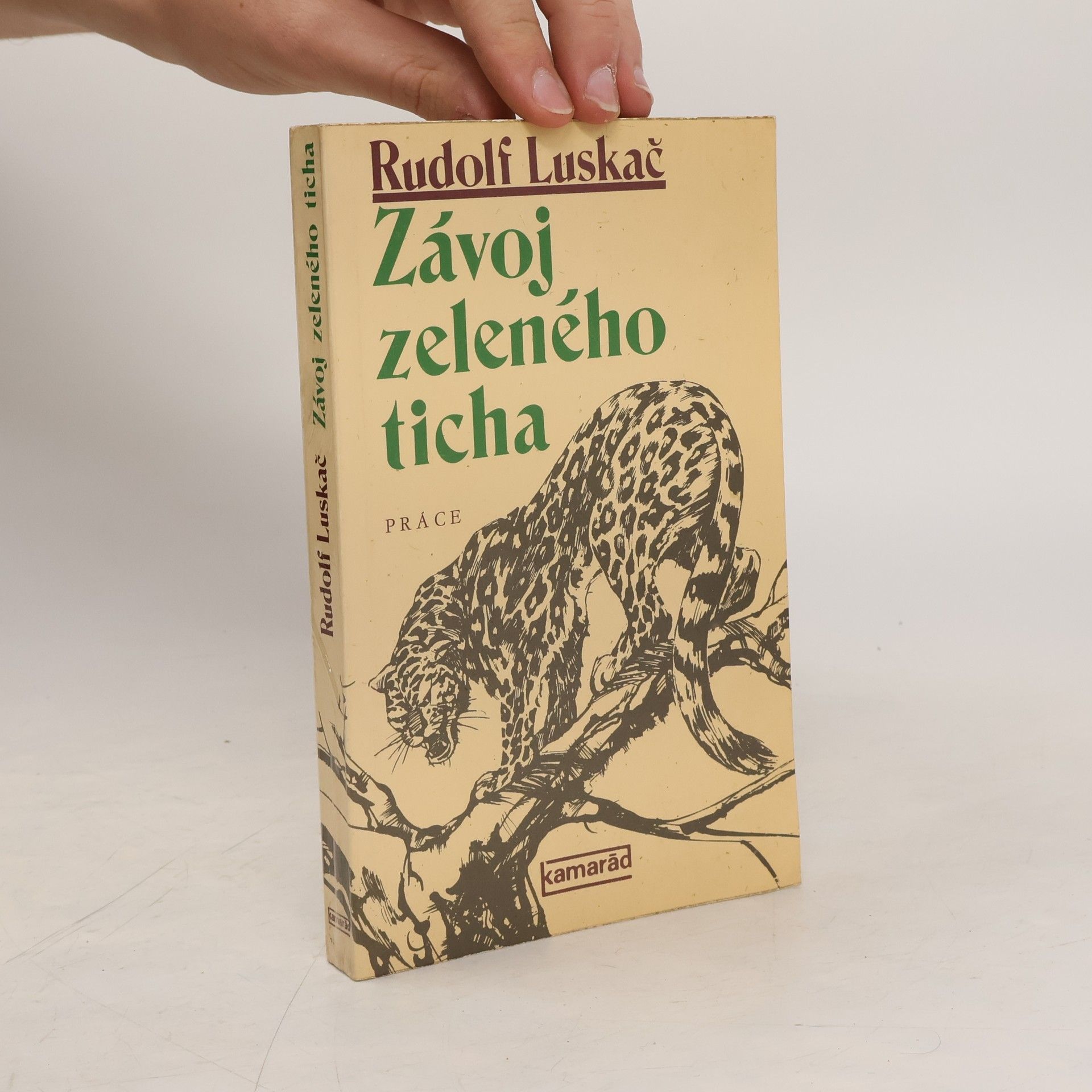 Rudolf Luskač Závoj zeleného ticha