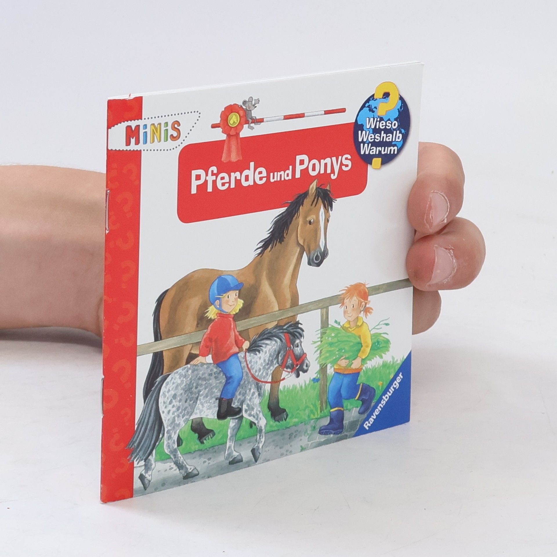 neuveden Pferde und Ponys