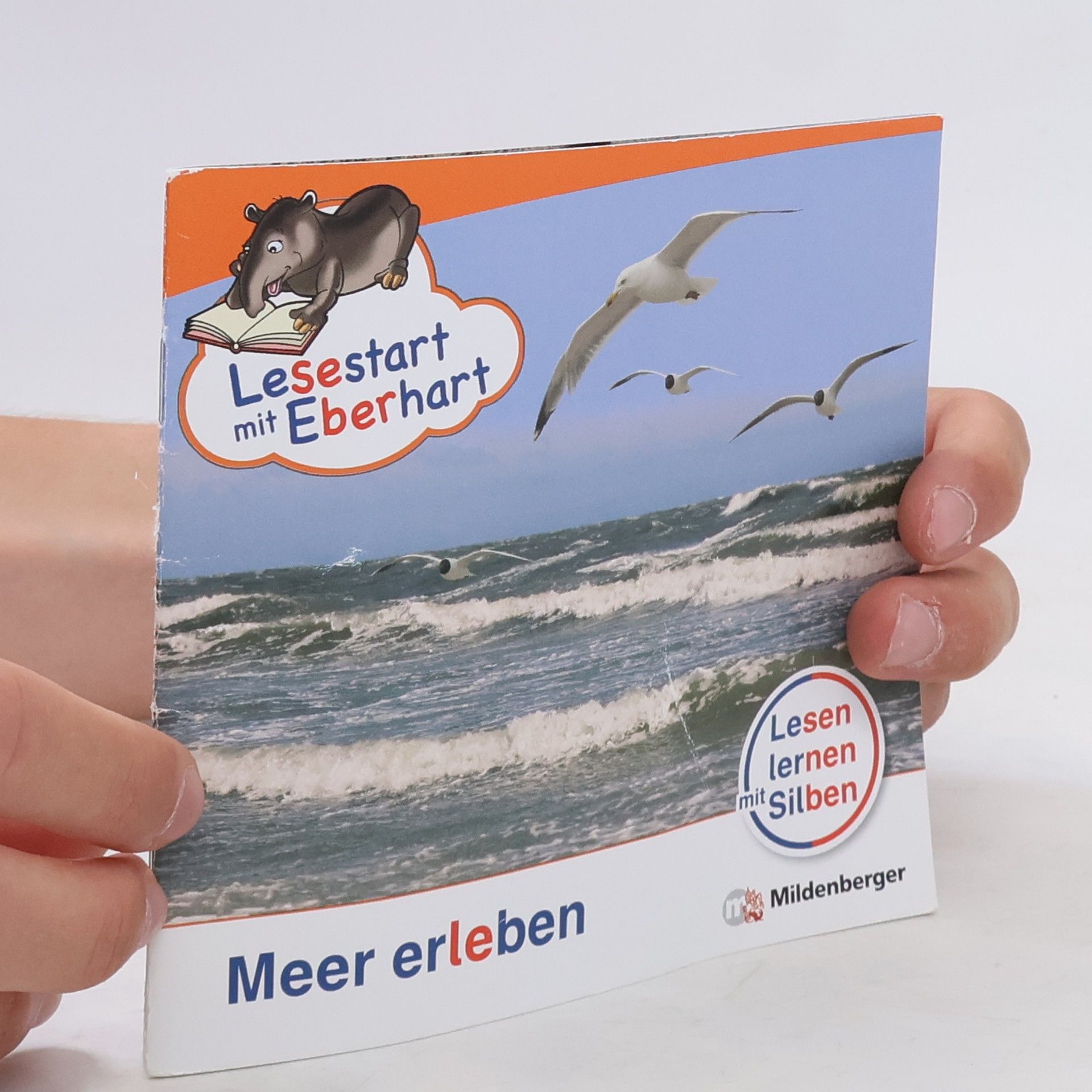 Stefanie Drecktrah Meer erleben