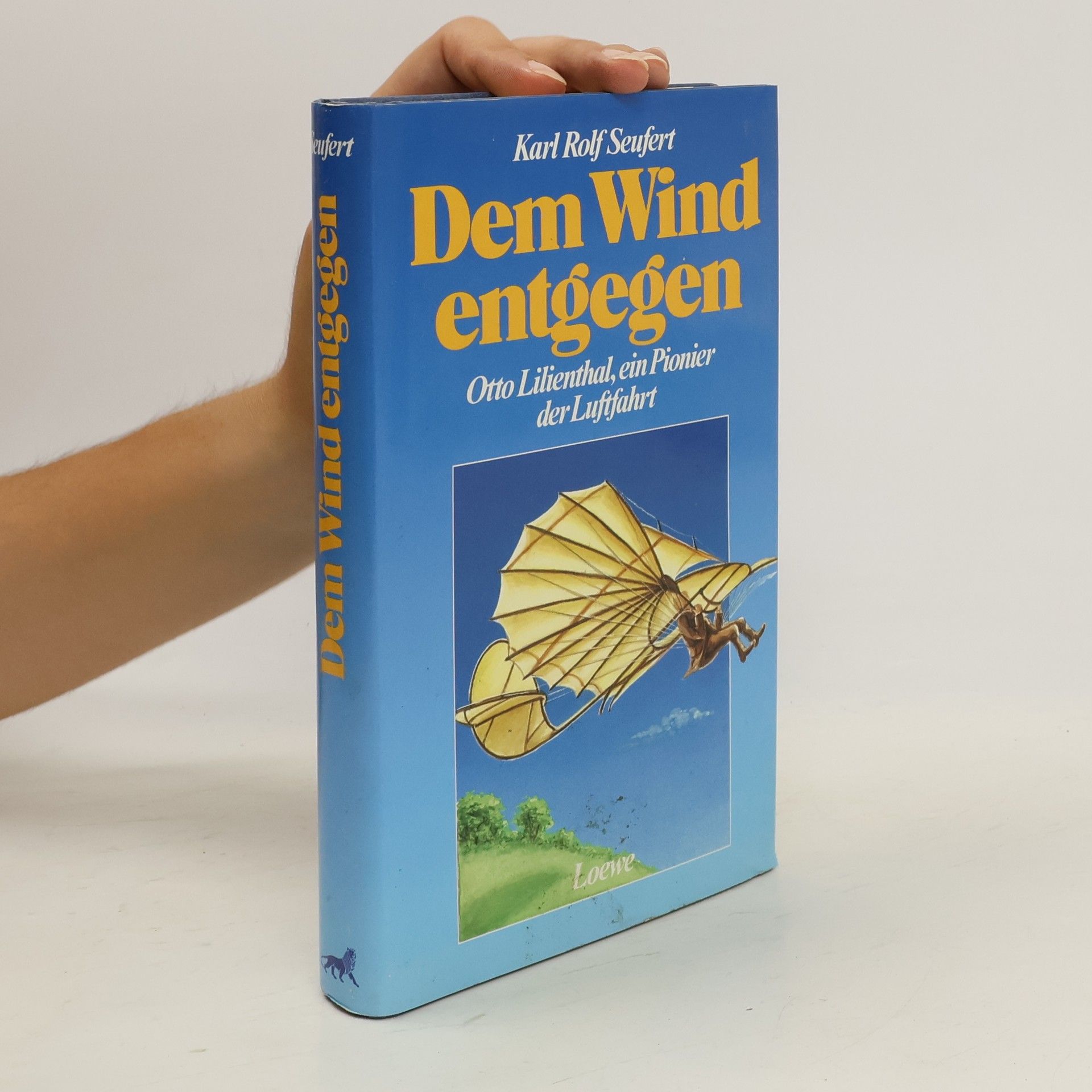 Karl Rolf Seufert Dem Wind entgegen