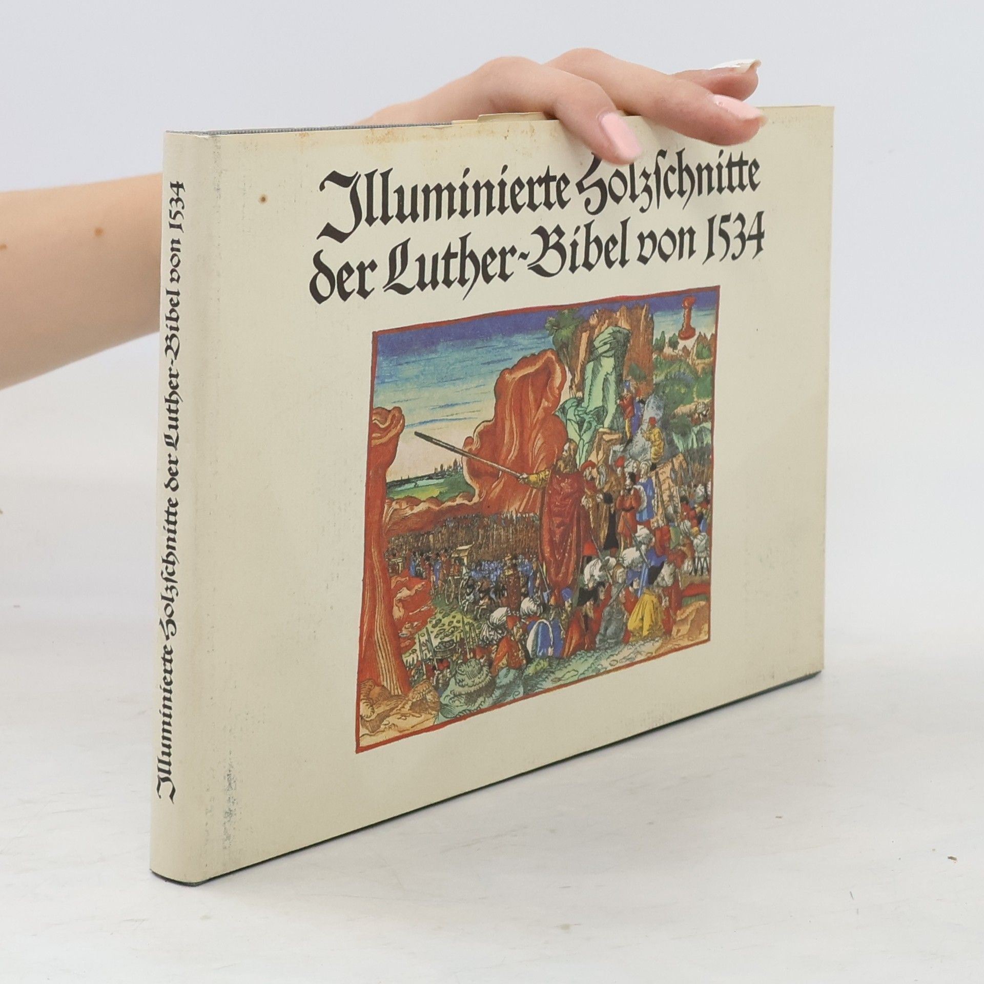 Autorenkollektiv Illuminierte Holzschnitte der Luther-Bible von 1534