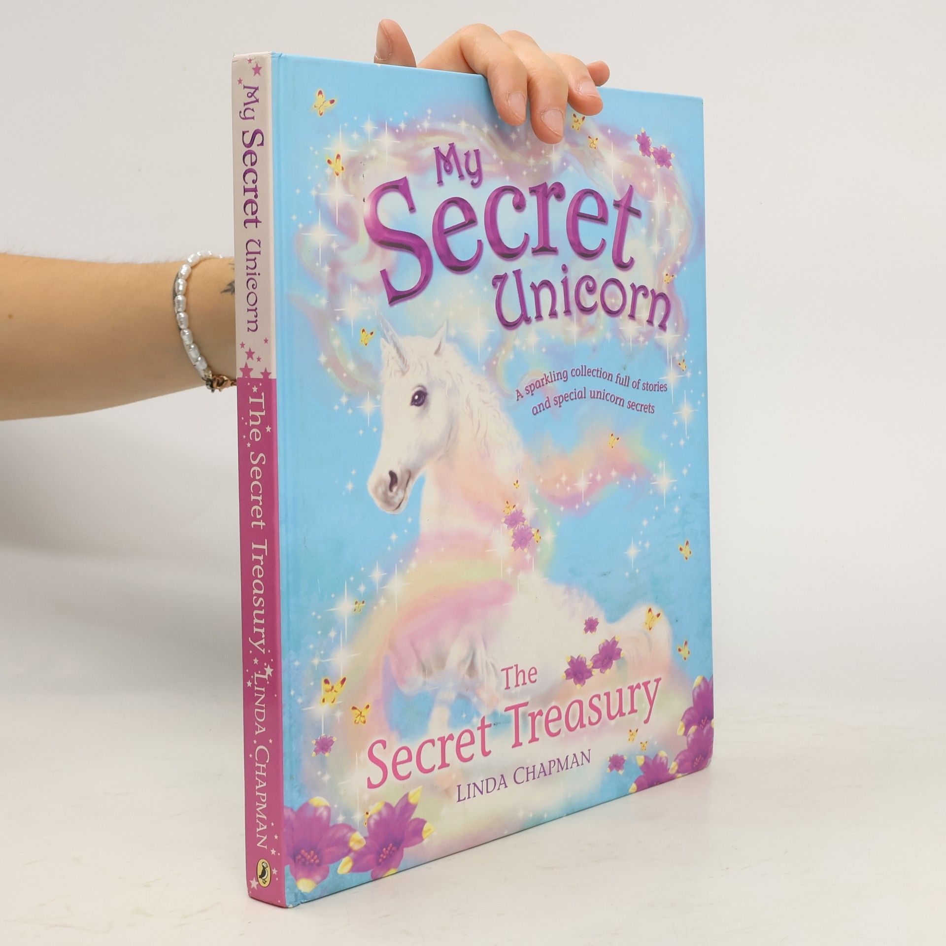 Linda Chapman Secret Treasury