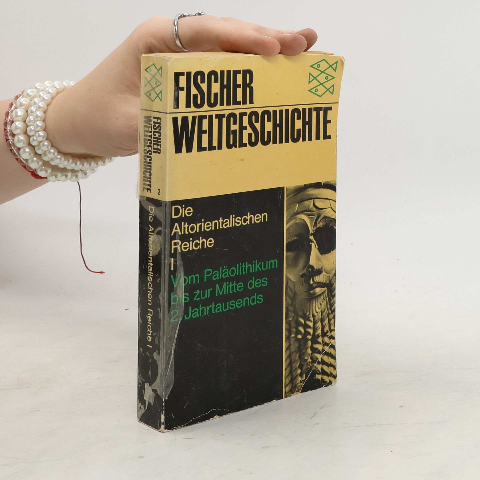 Jean Bottéro Die Altorientalischen Reiche I. Vom Paläolithikum bis zur Mitte des 2. Jahrtausends