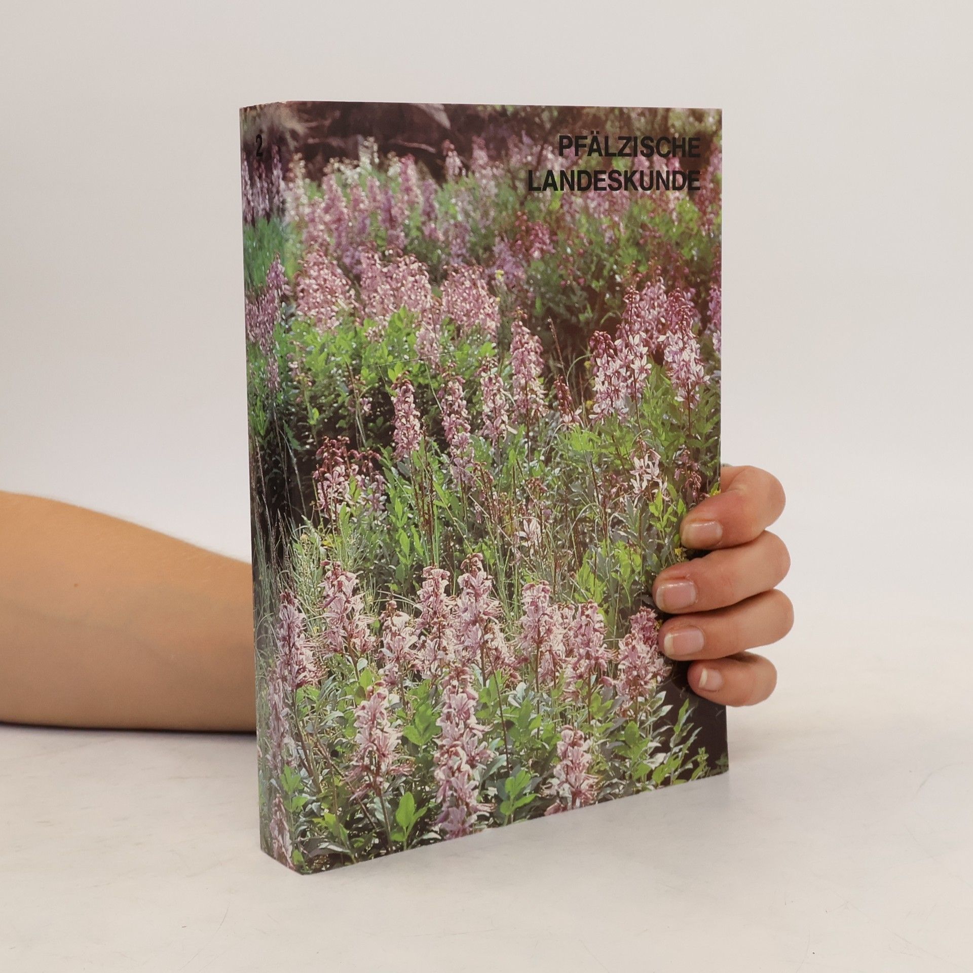 Auteurscollectief Pfälzische Landeskunde