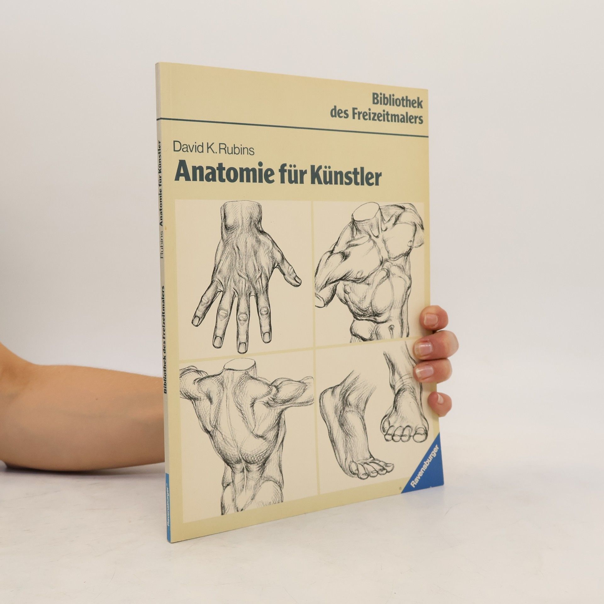 David K. Rubins Anatomie für Künstler