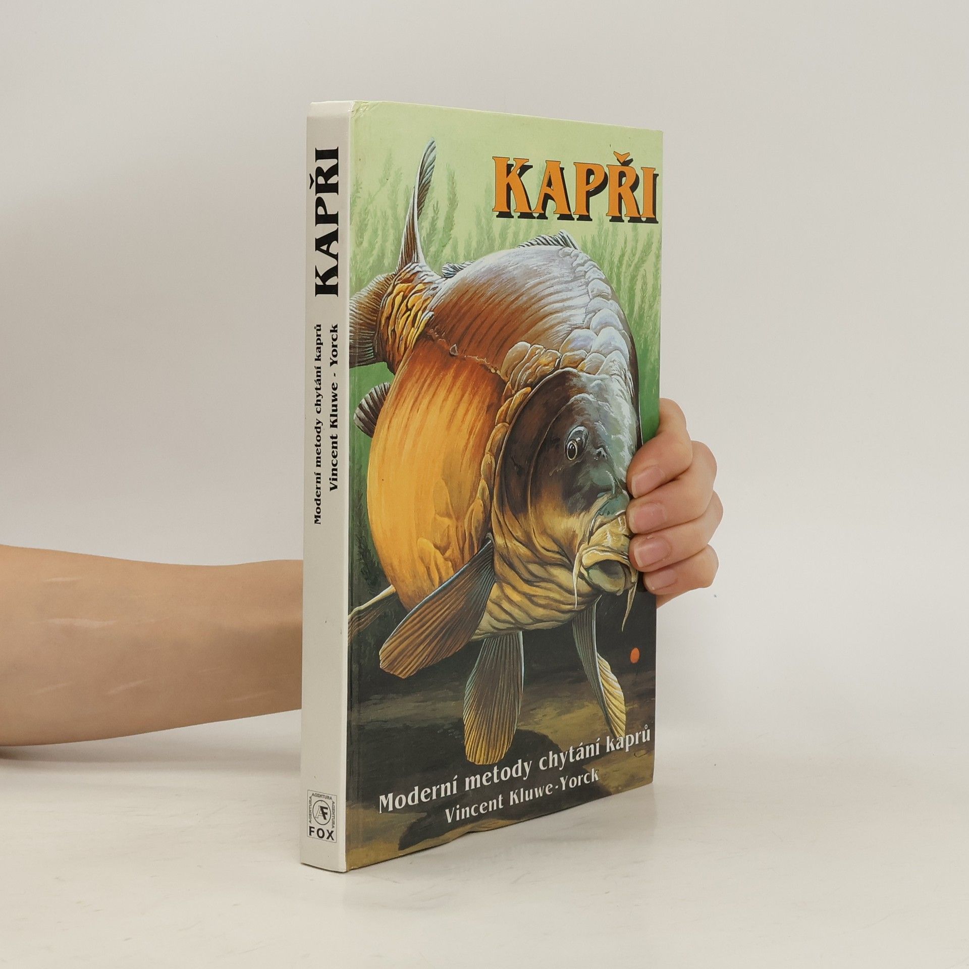 Vincent KluweYorck Kapři. Moderní metody chytání kaprů