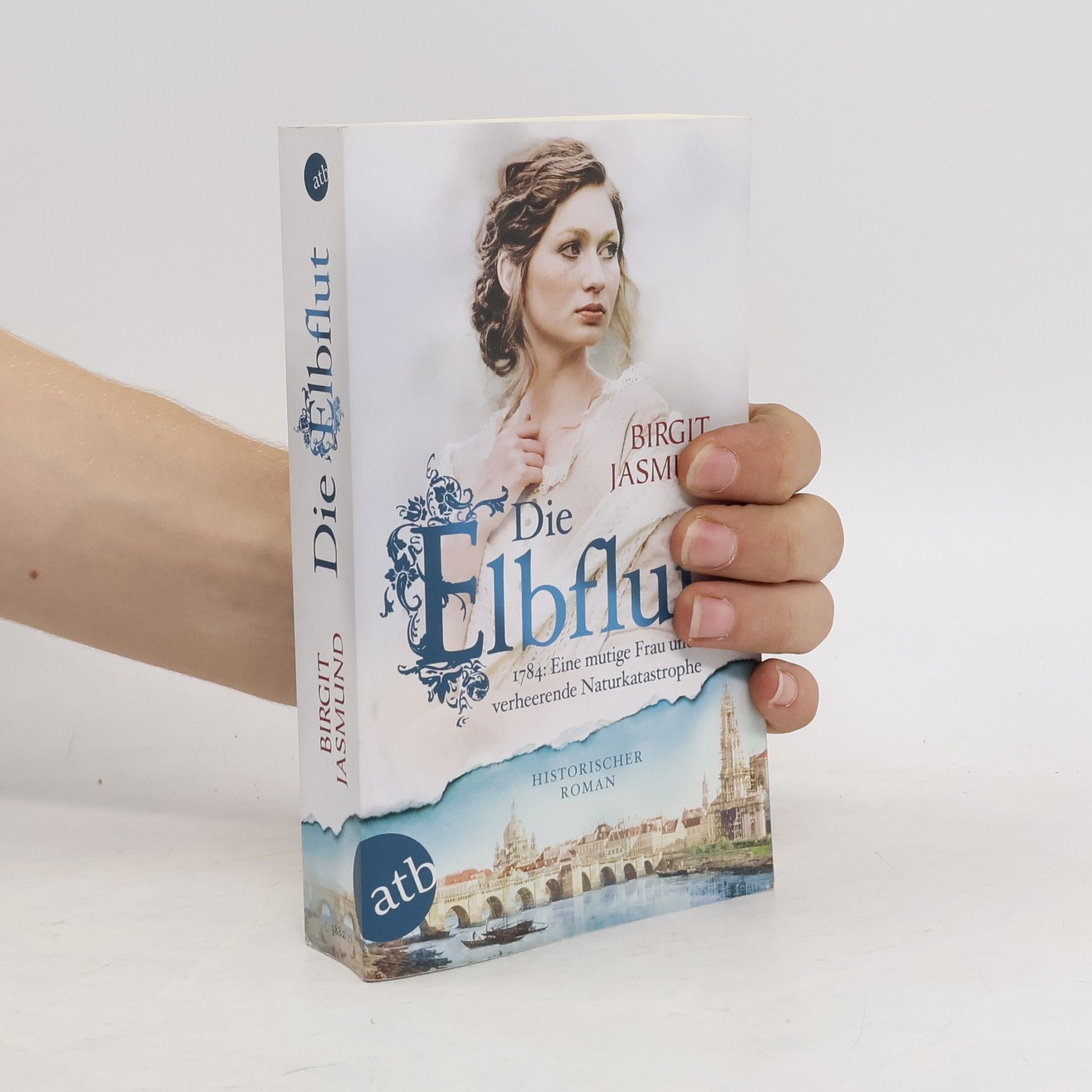 Birgit Jasmund Die Elbflut