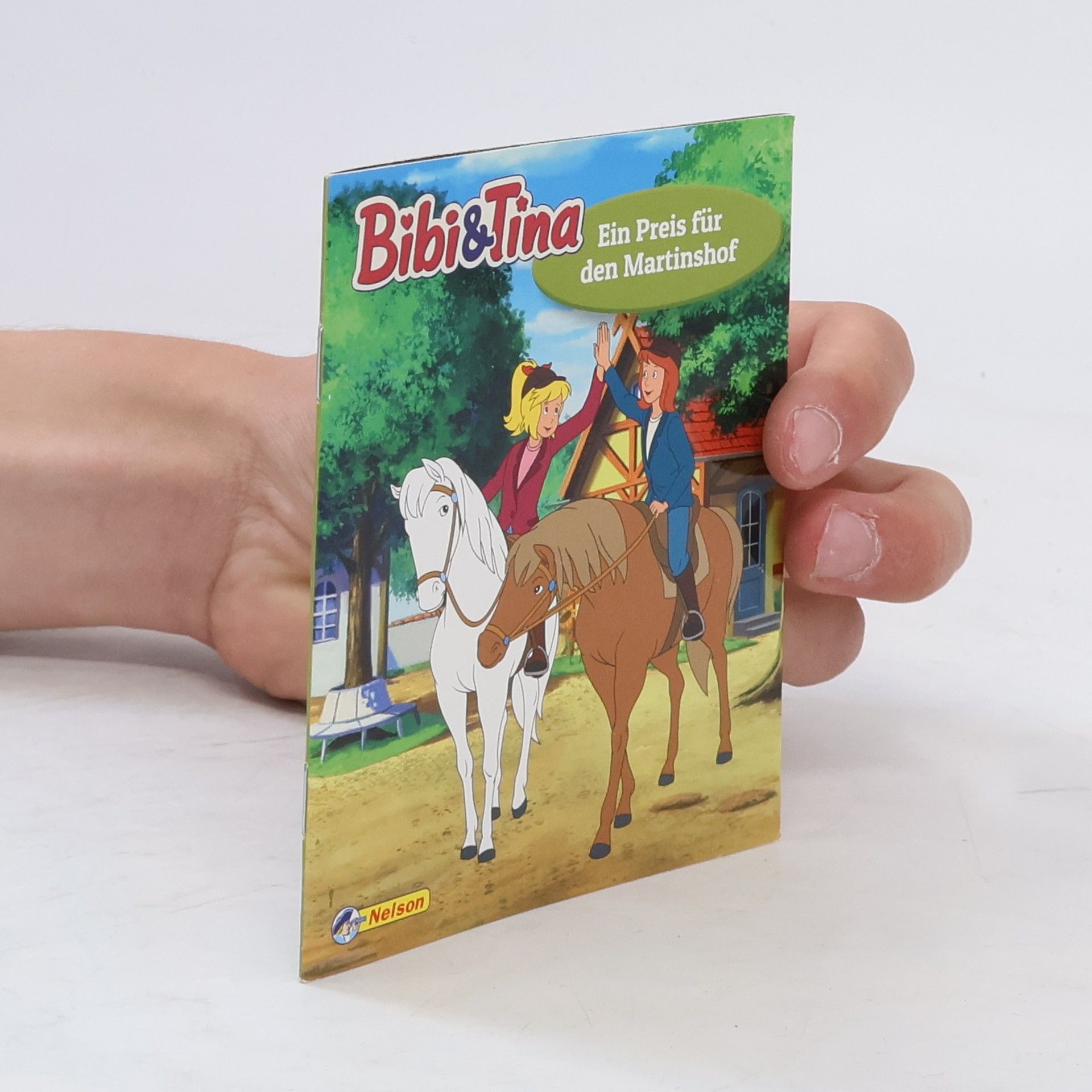 AA.VV. Bibi & Tina - das Pferd in der Schule