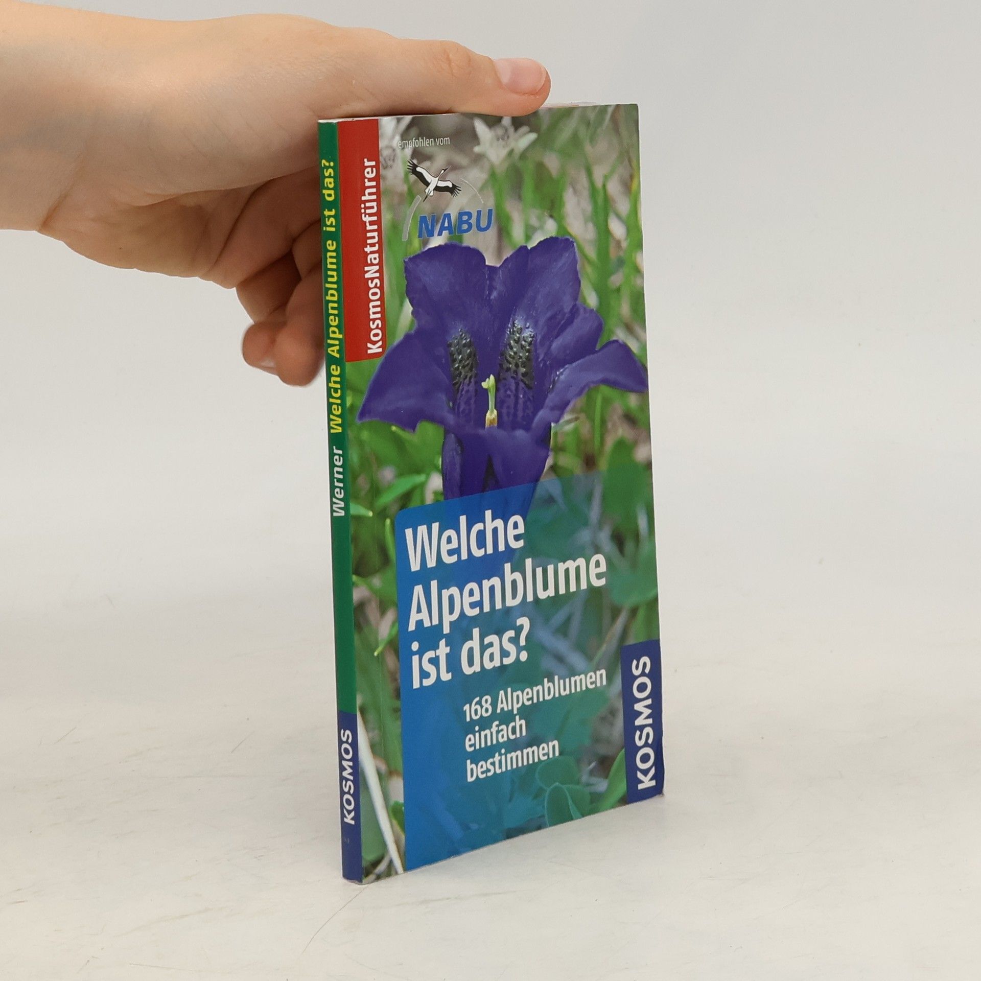 Manuel Werner Welche Alpenblume ist das?