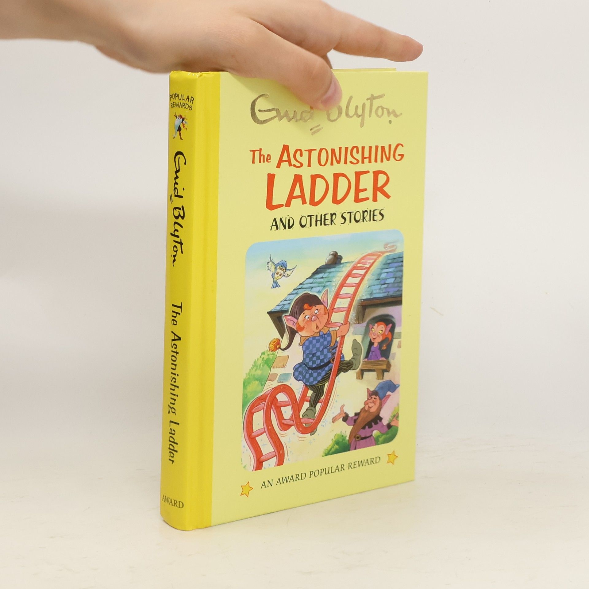 Enid Blyton The Astonishing Ladder