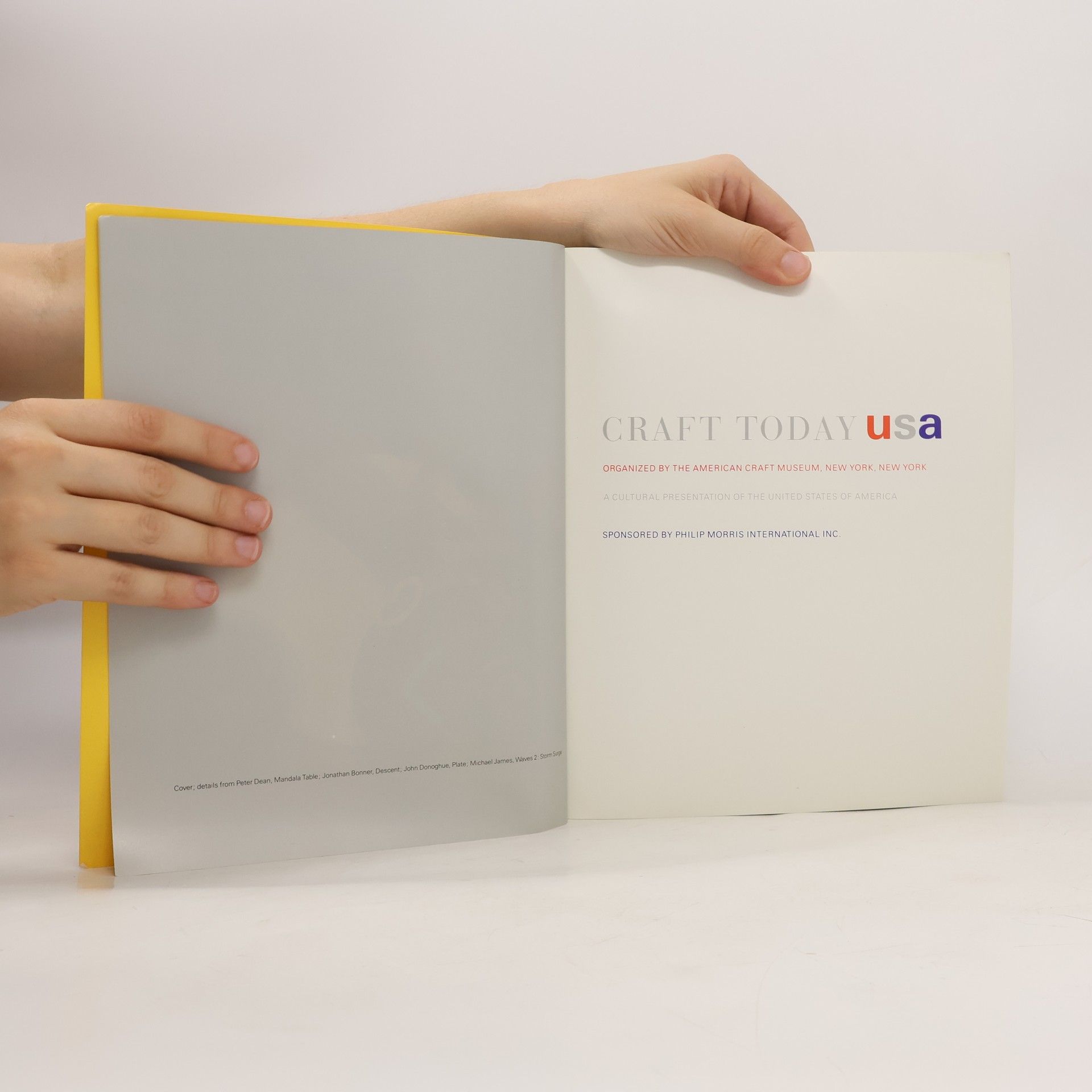 AA.VV. Craft Today USA