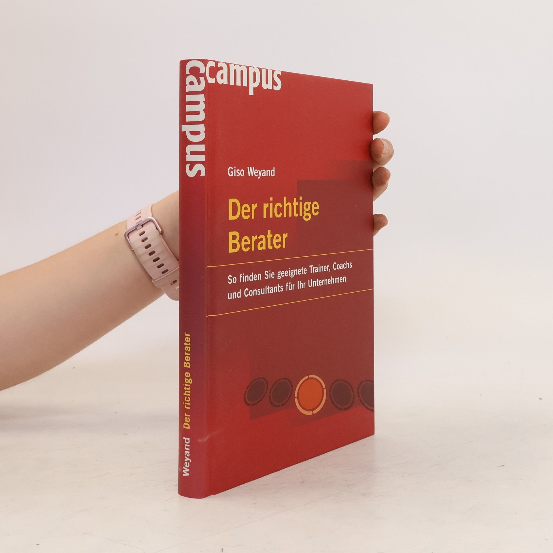 Giso Weyand Der richtige Berater