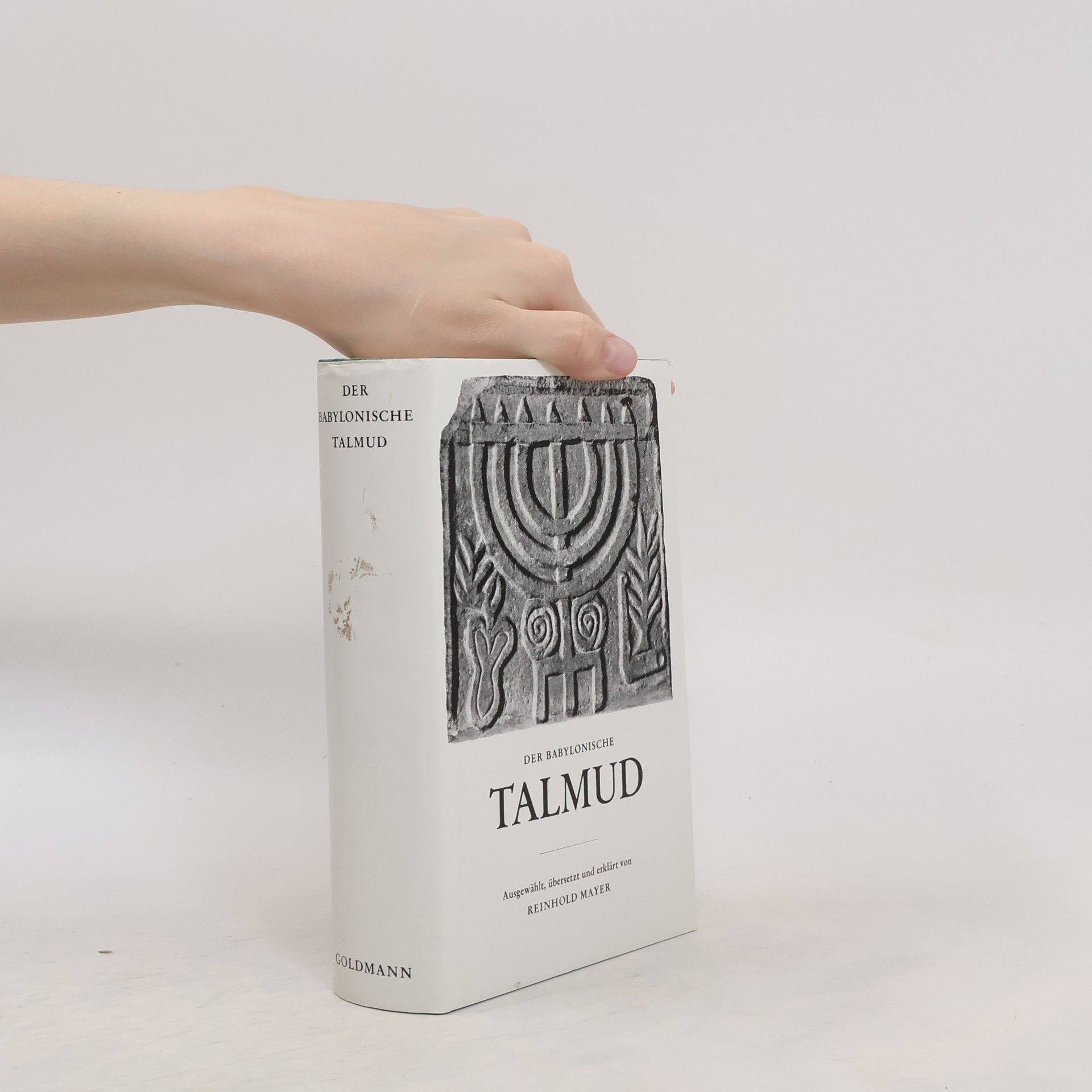 Reinhold Mayer Der babylonische Talmud