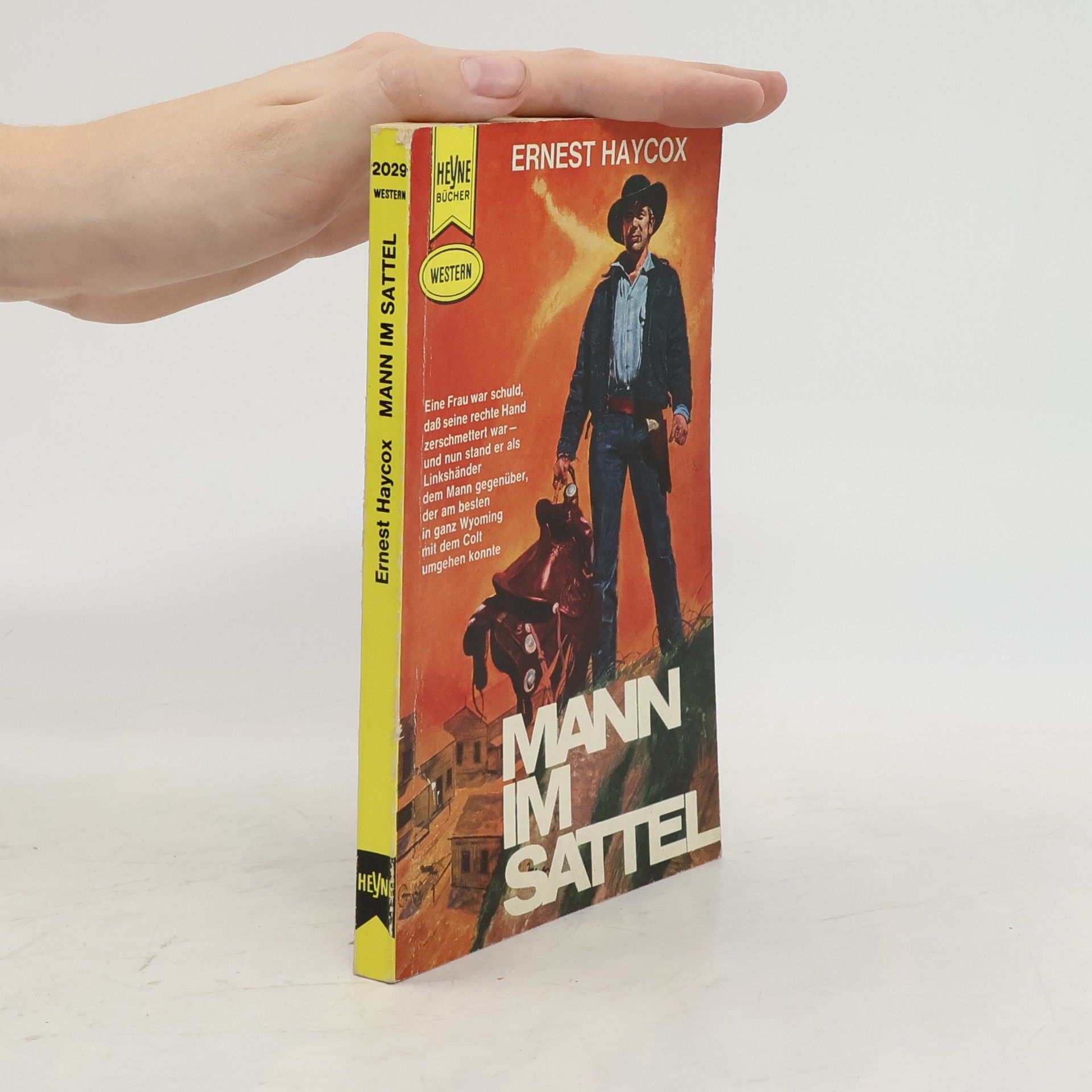 Ernest Haycox Mann im Sattel