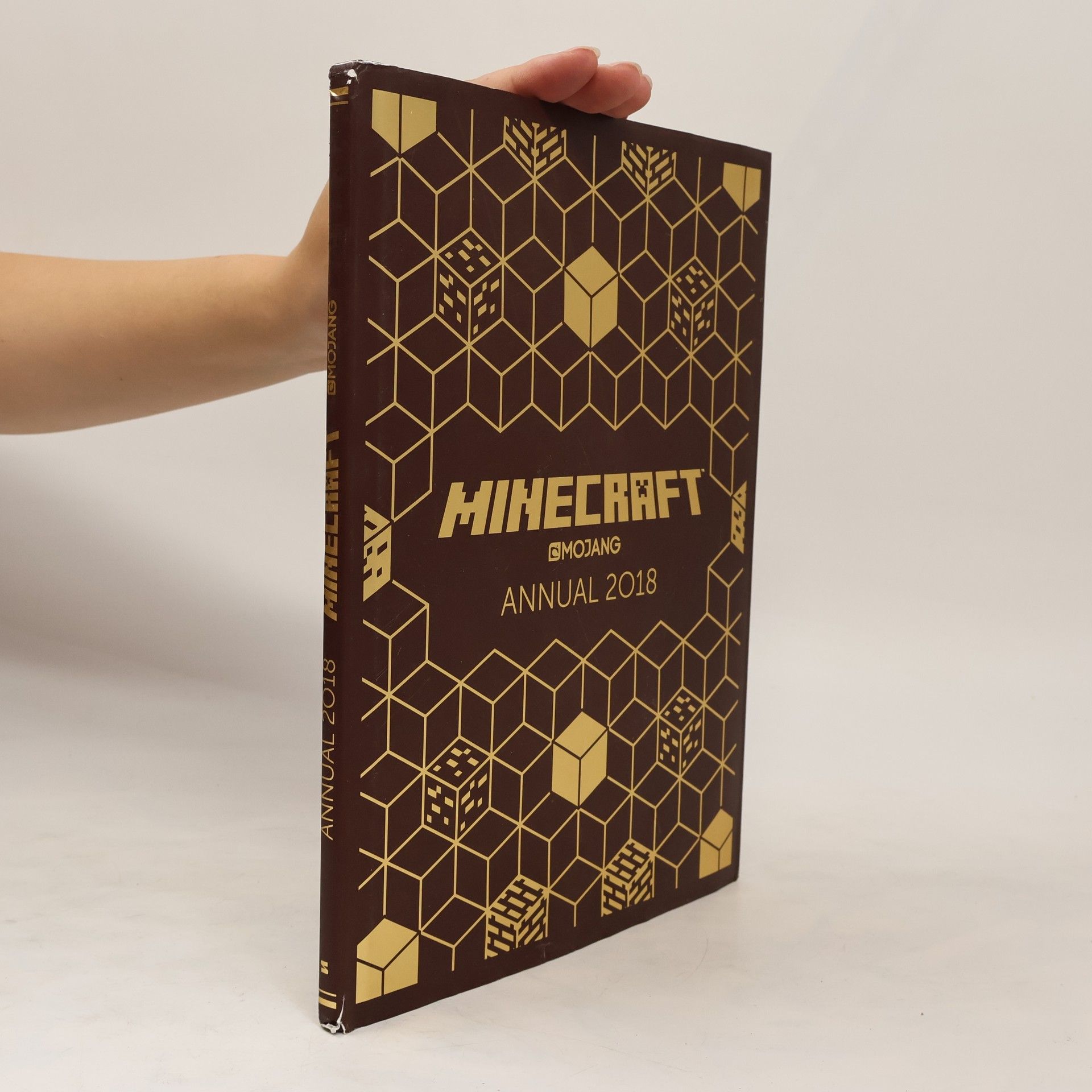 Autorenkollektiv Minecraft annual 2018