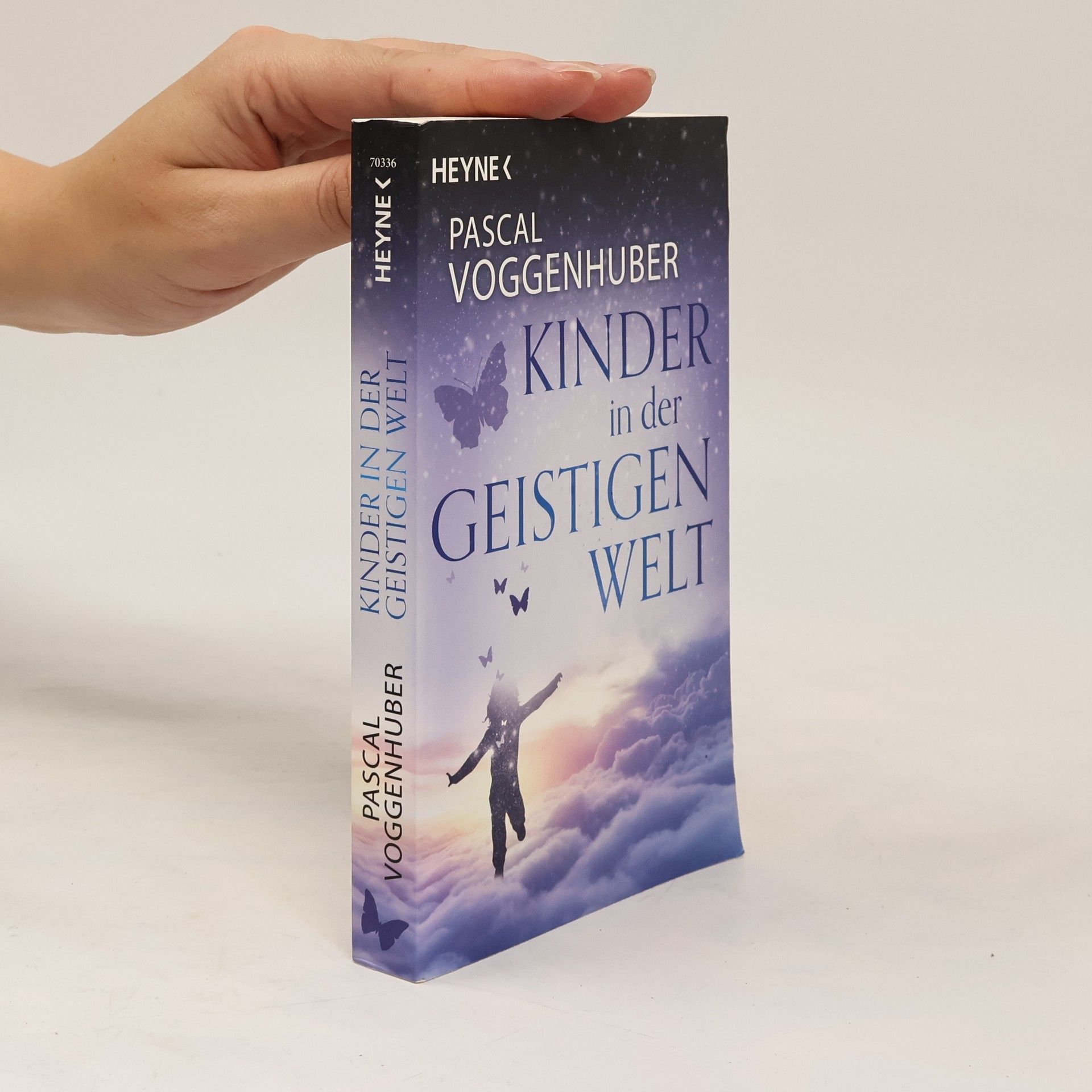 Pascal Voggenhuber Kinder in der Geistigen Welt
