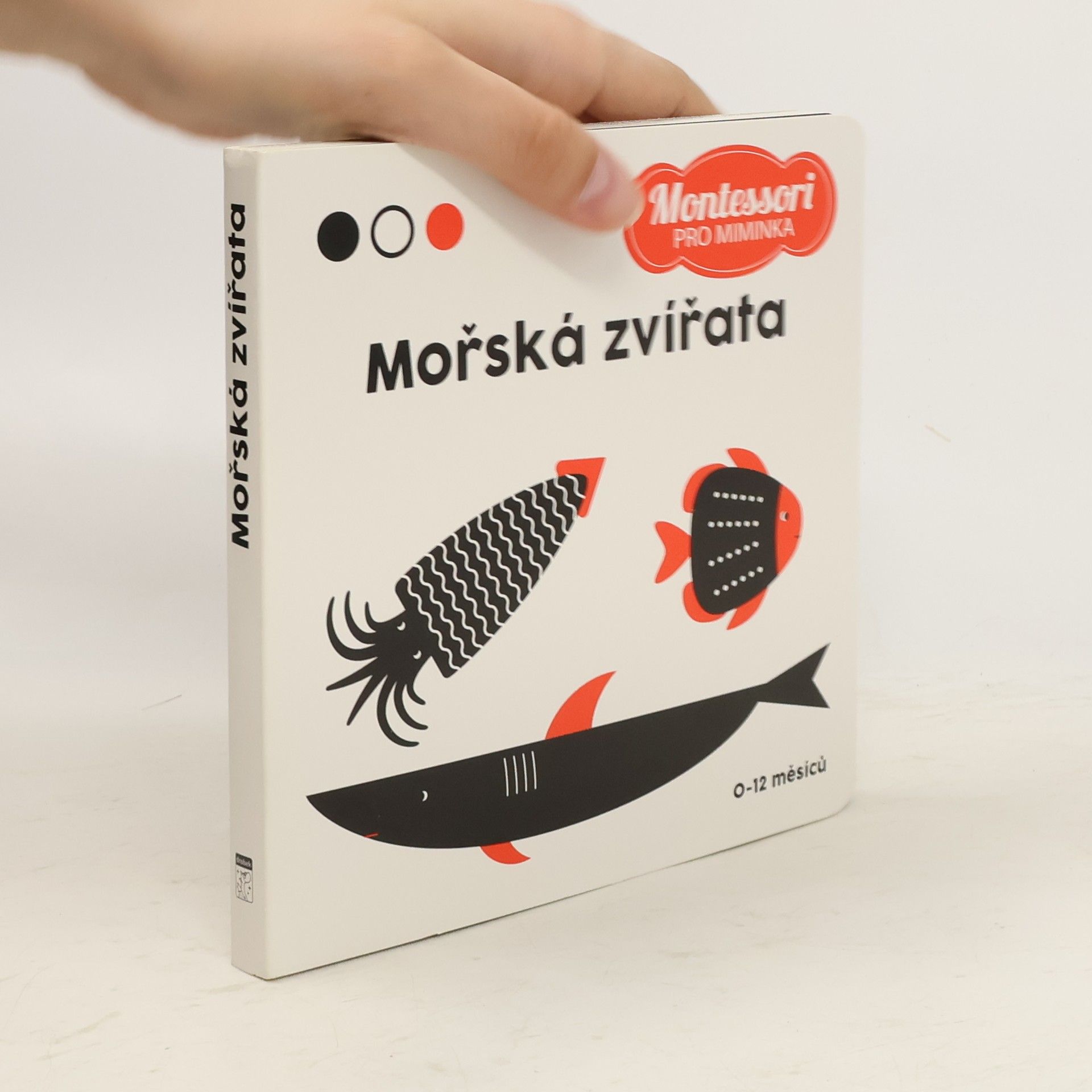 Agnese Baruzzi Mořská zvířata