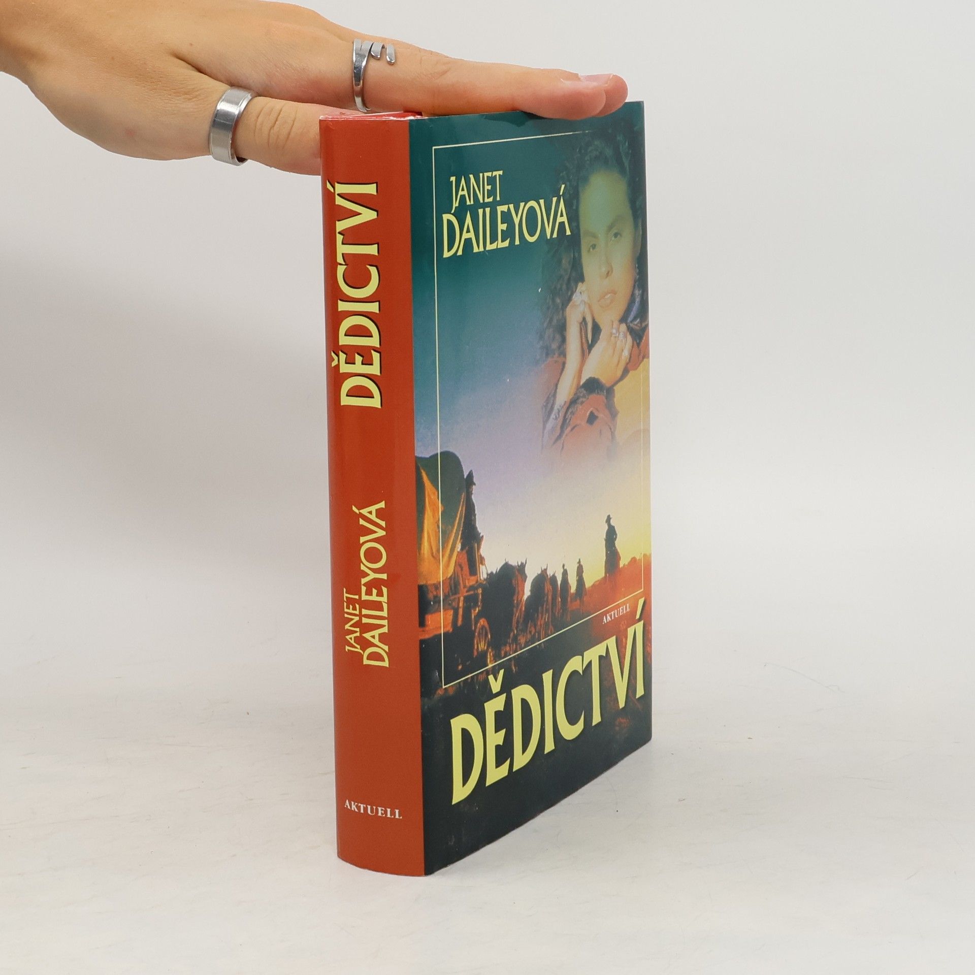 Janet Dailey Dědictví