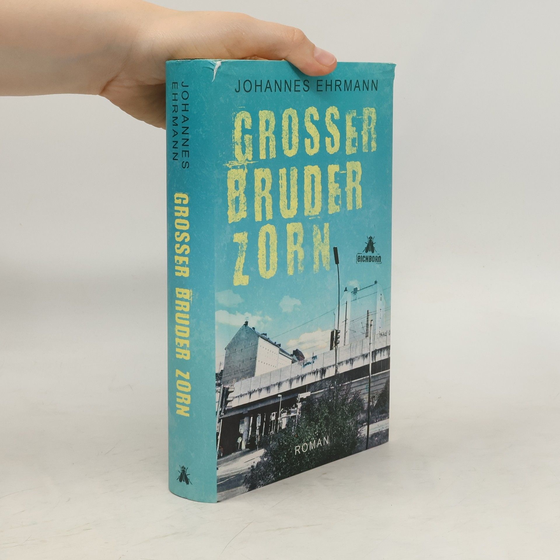 Johannes Ehrmann Großer Bruder Zorn