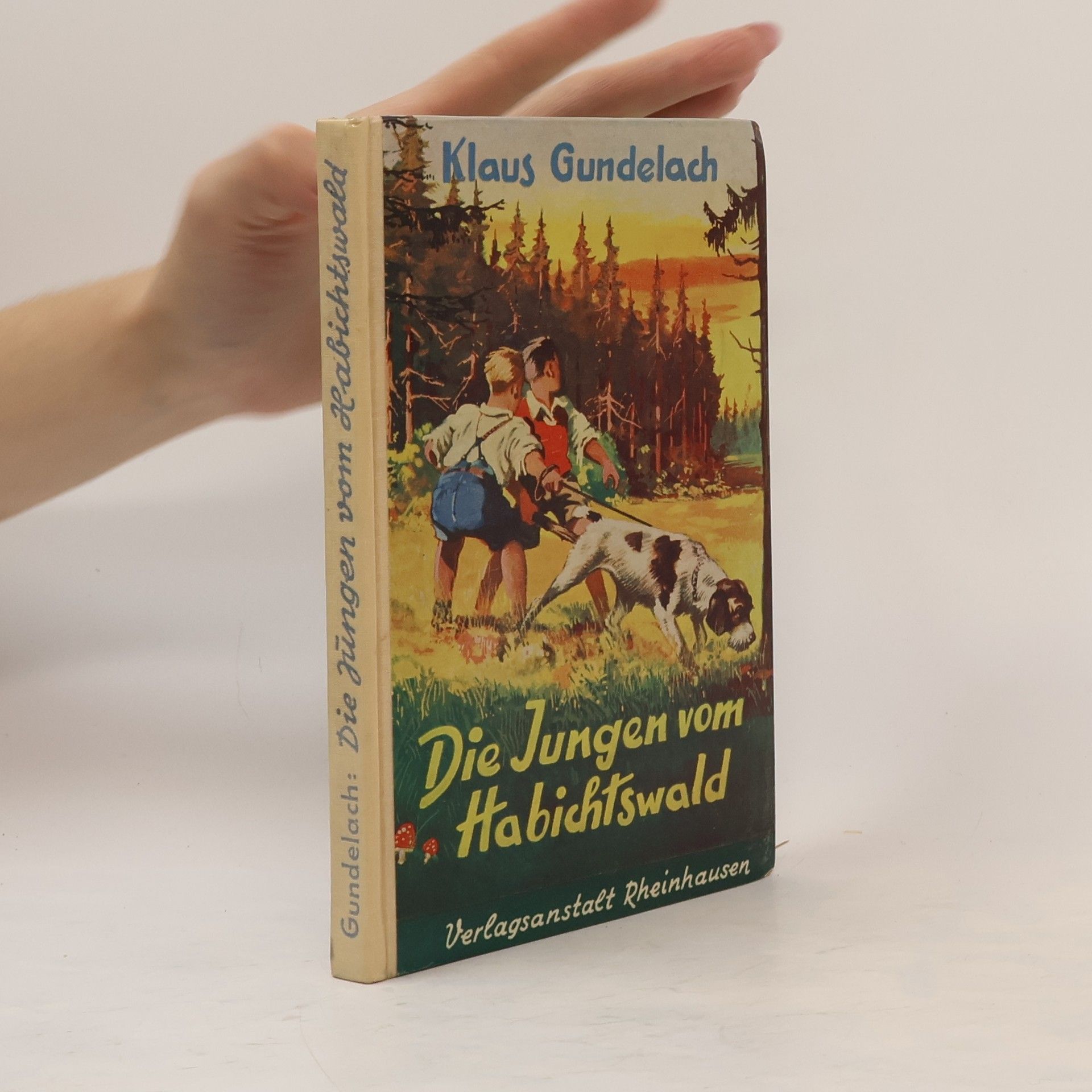 Klaus Gundelach Die Jungen vom Habichtswald