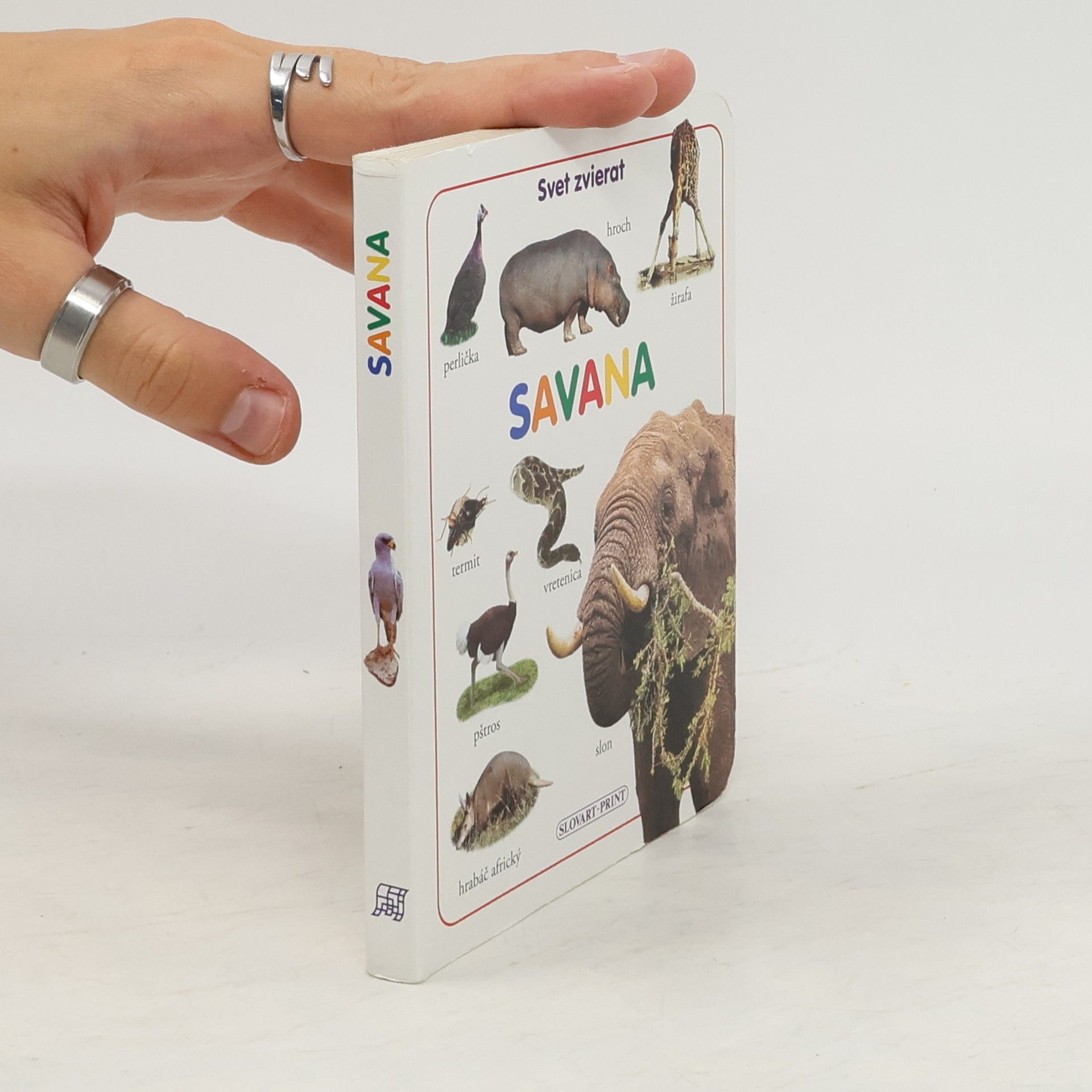 Collectif d'auteurs Savana