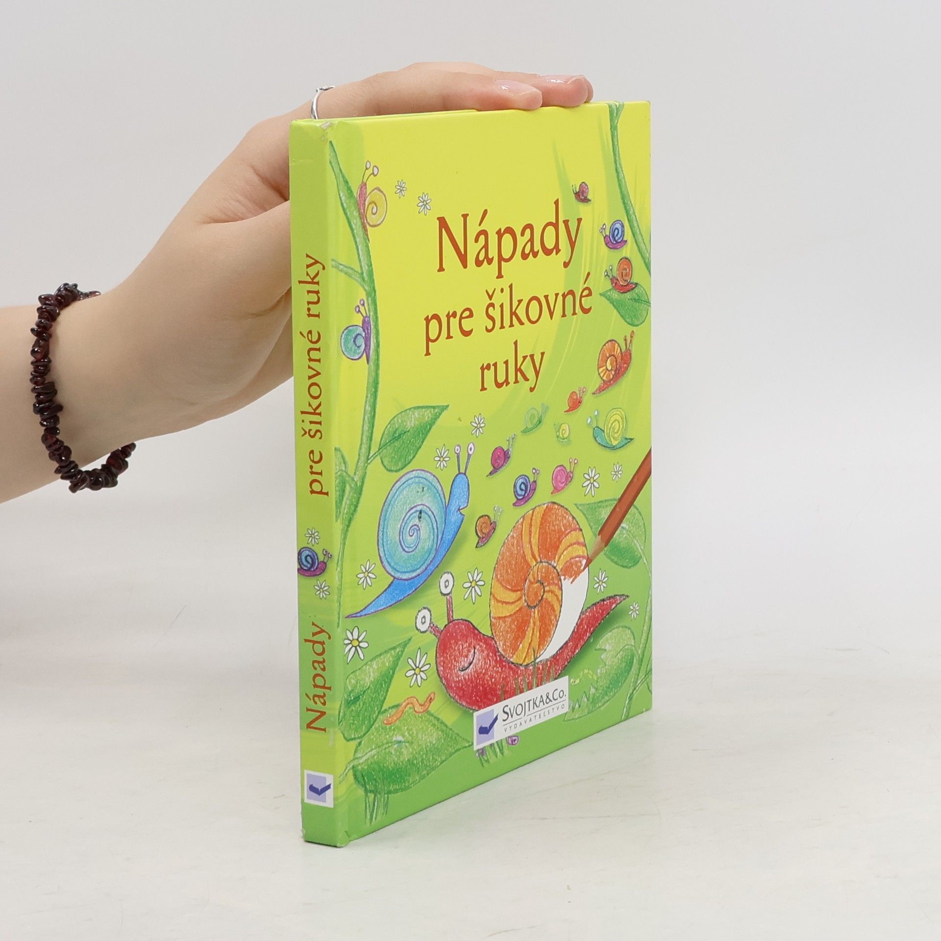 Ray Gibson Nápady pre šikovné ruky