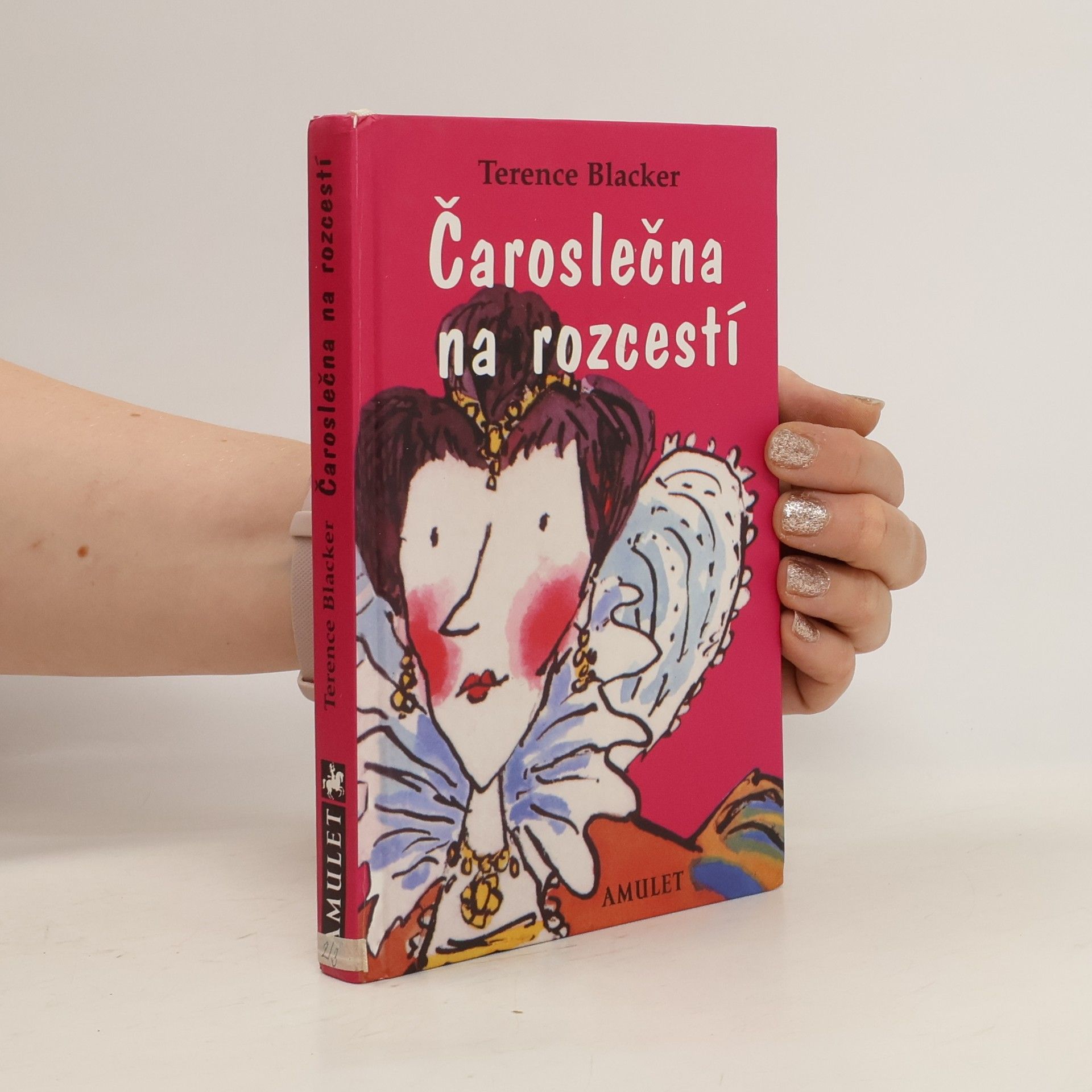 Terence Blacker Čaroslečna na rozcestí