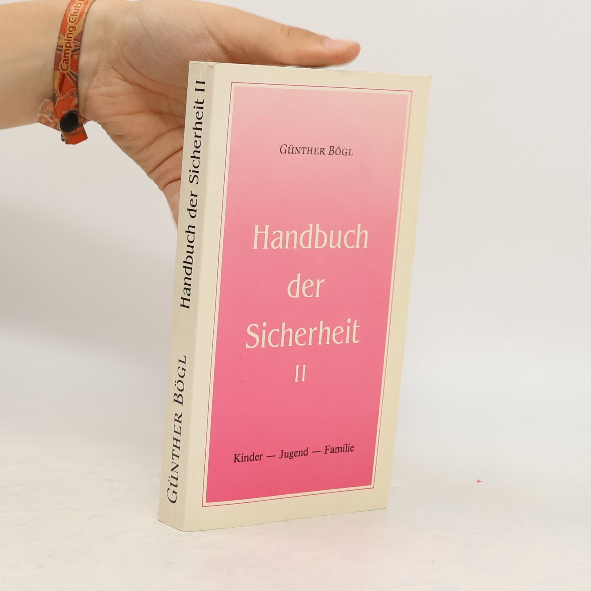 Günther Bögl Handbuch der Sicherheit II
