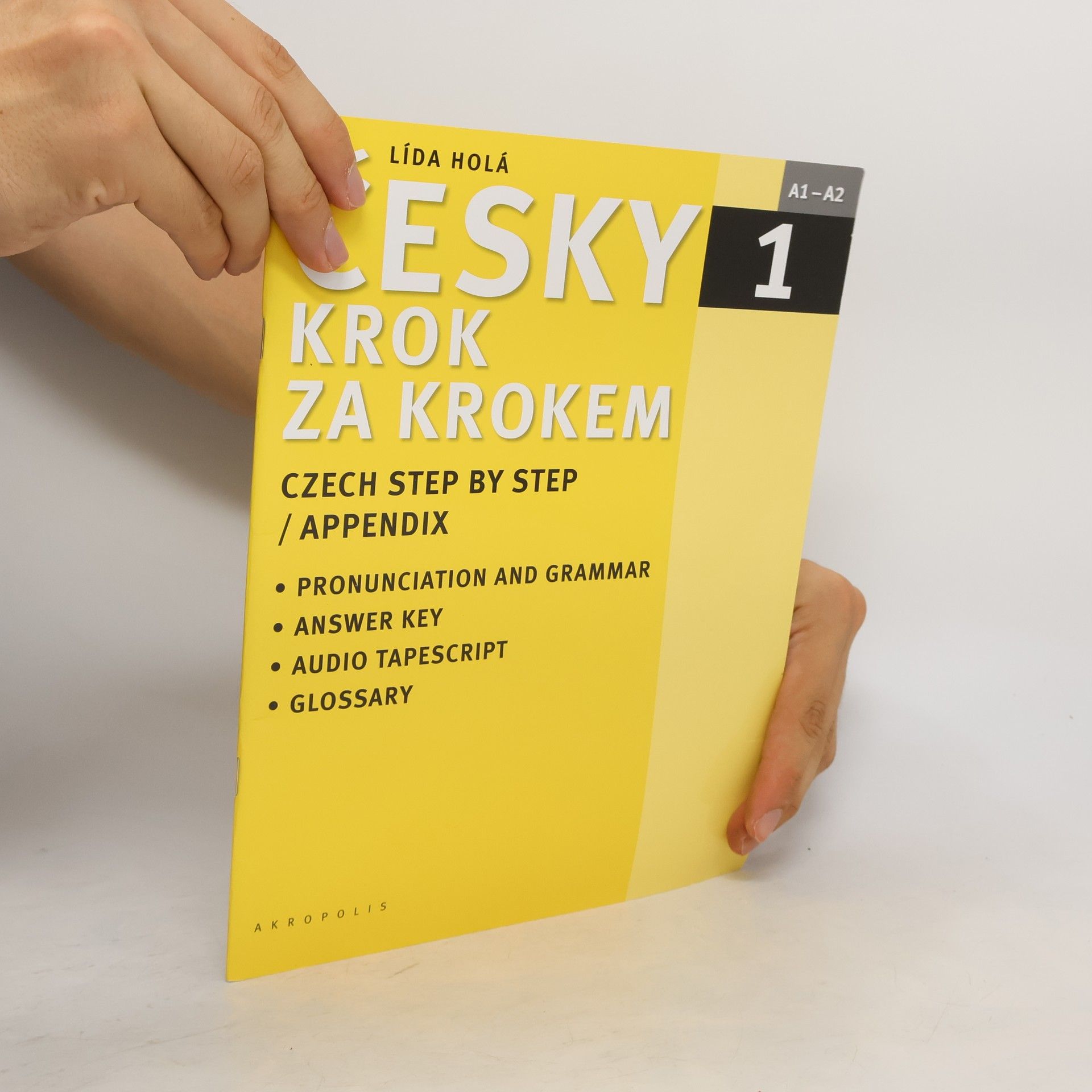 Lída Holá Česky krok za krokem 1. A1-A2 příloha