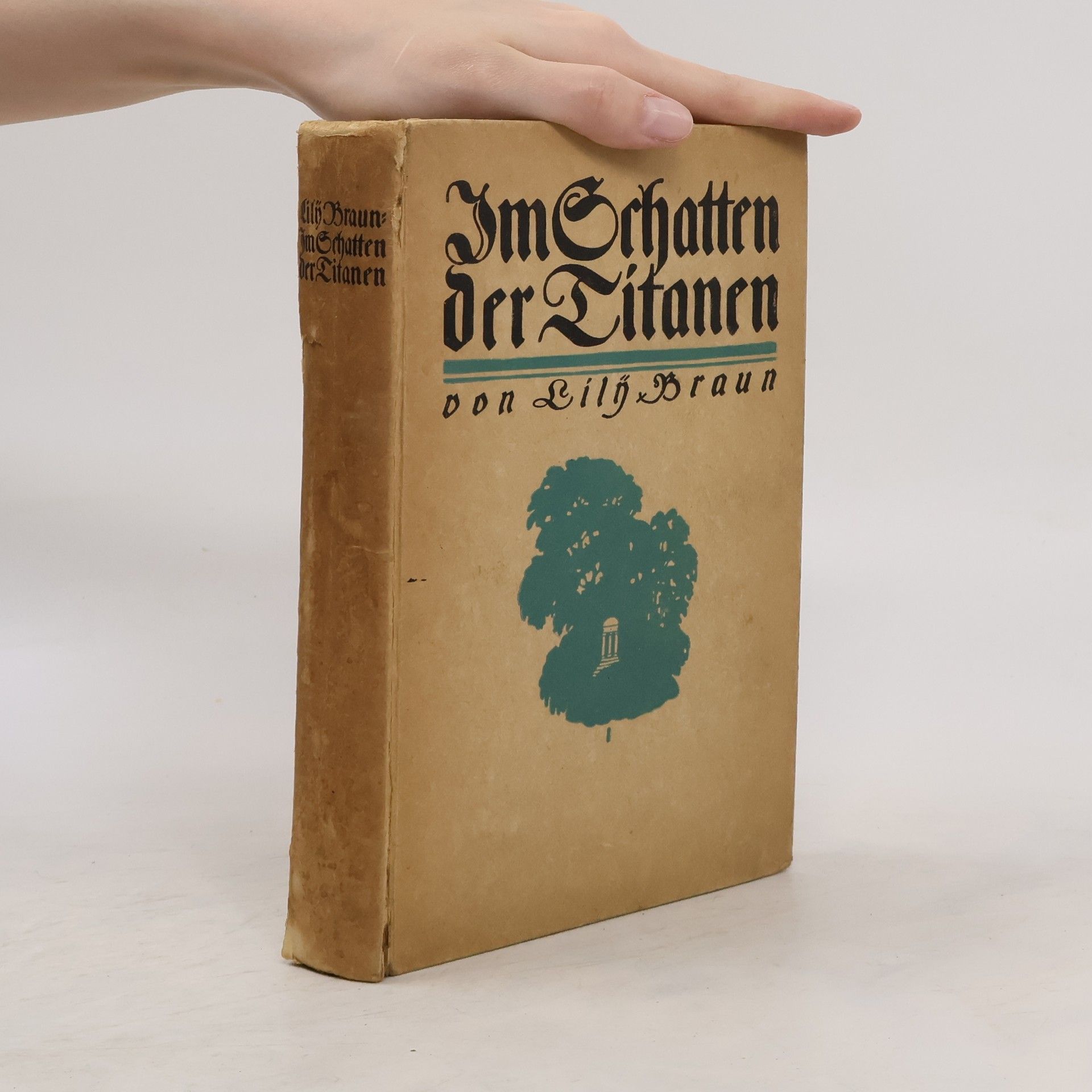 Lily Braun Im Schatten der Titanen