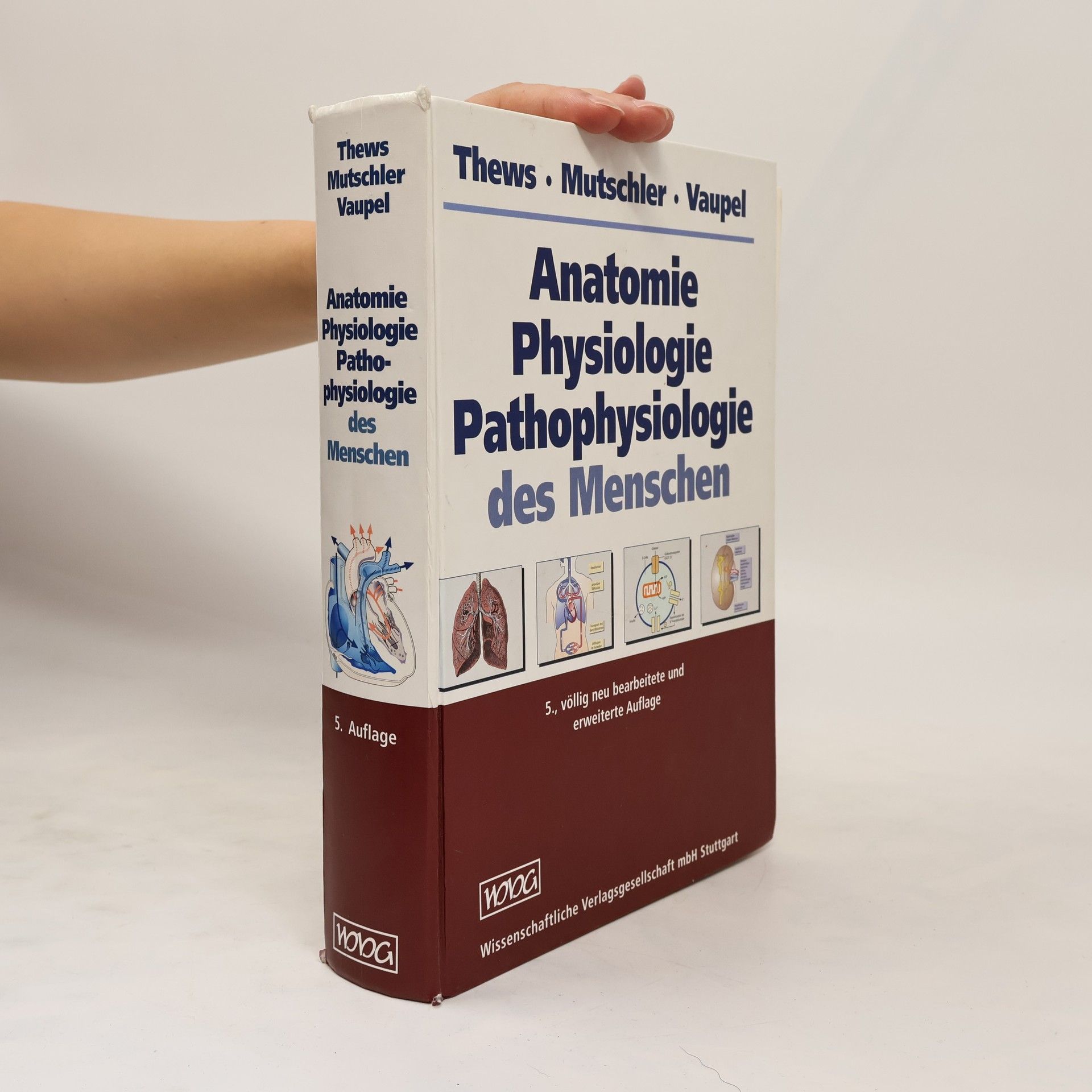 Gerhard Thews Anatomie, Physiologie, Pathophysiologie des Menschen