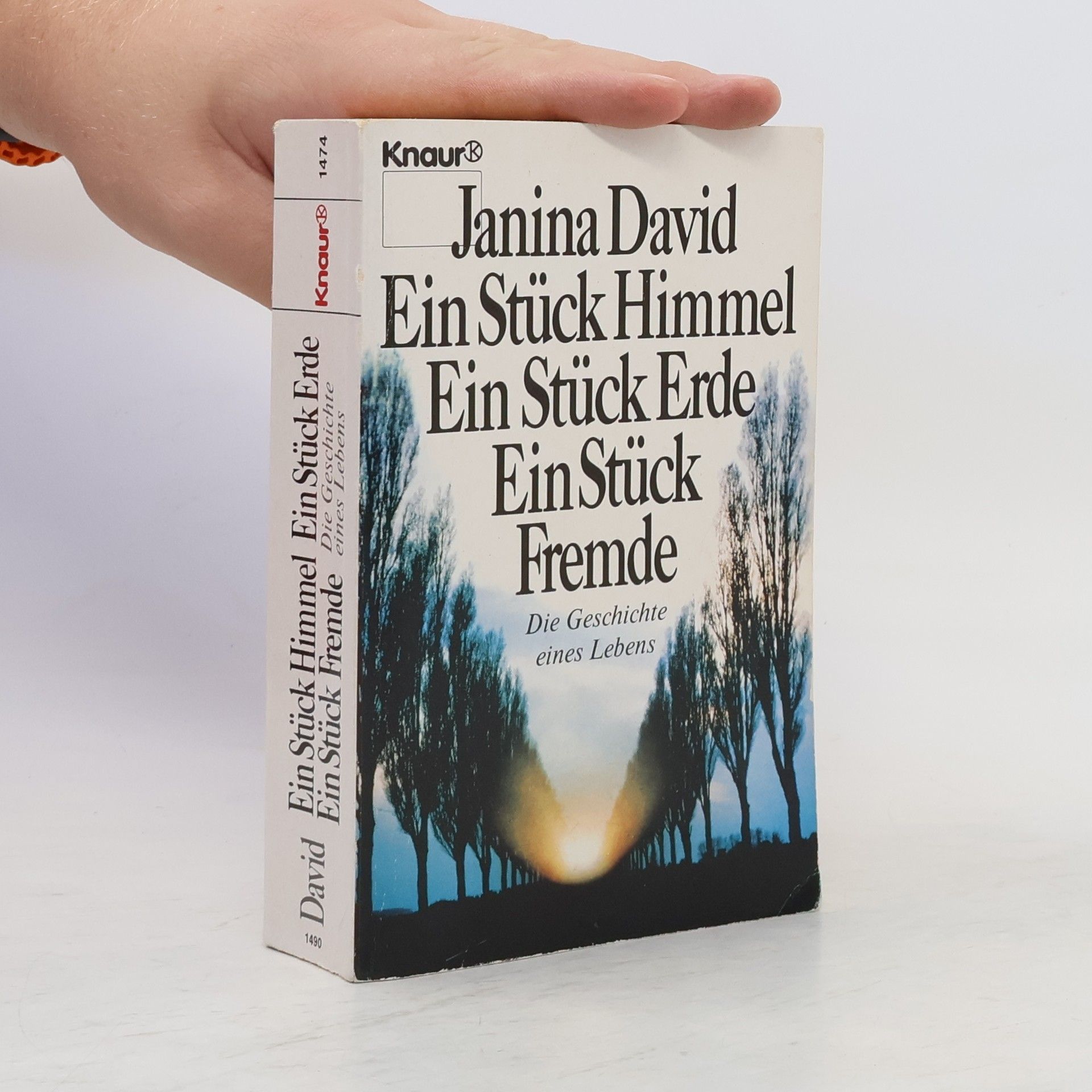 Janina David Ein Stück Himmel