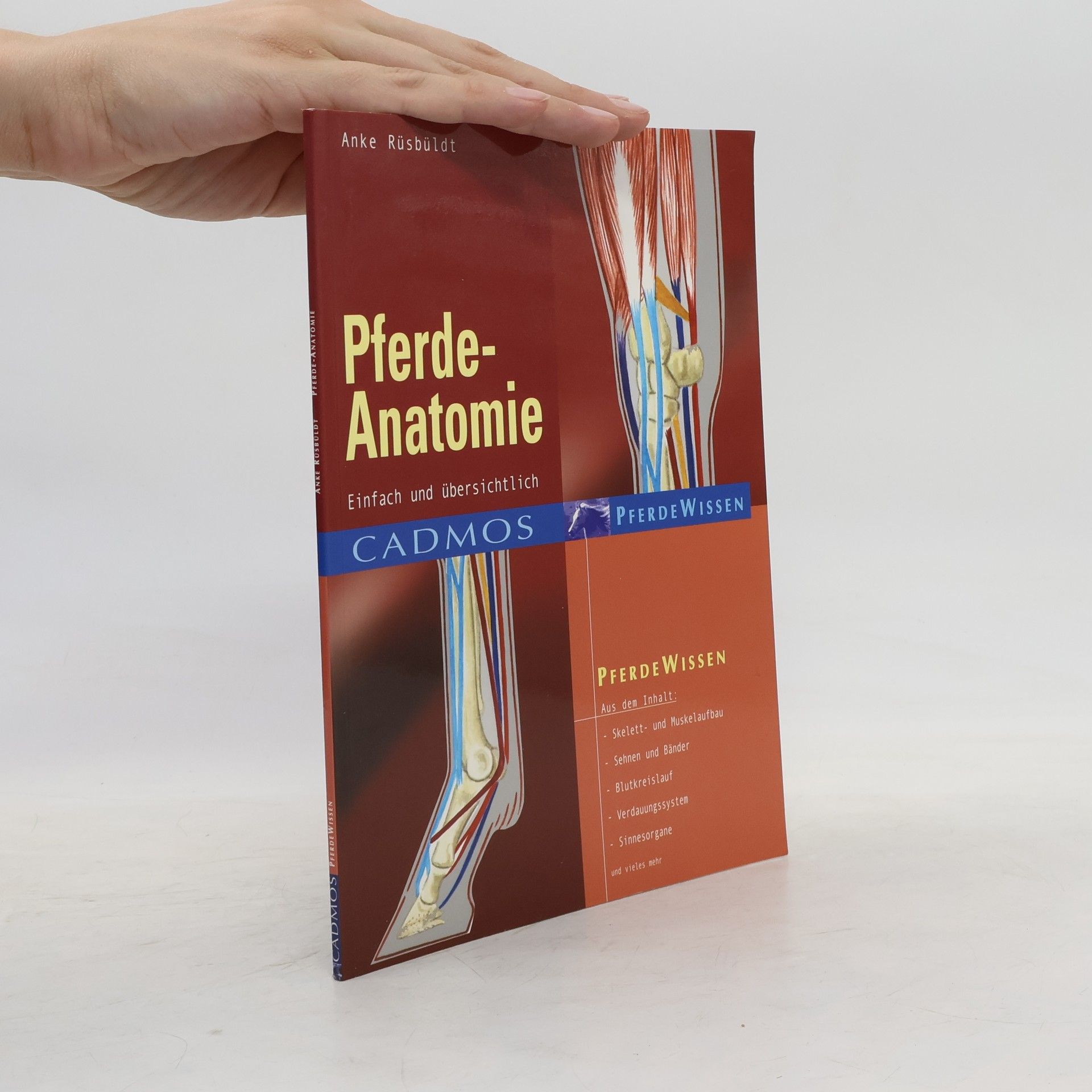 Anke Rüsbüldt Pferde-Anatomie