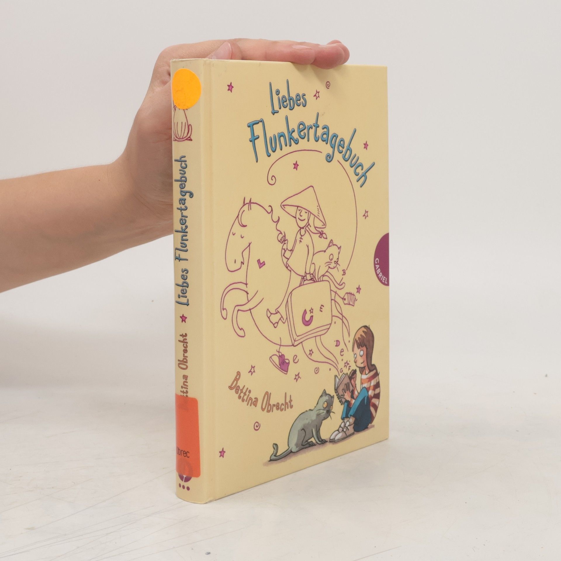 Bettina Obrecht Liebes Flunkertagebuch