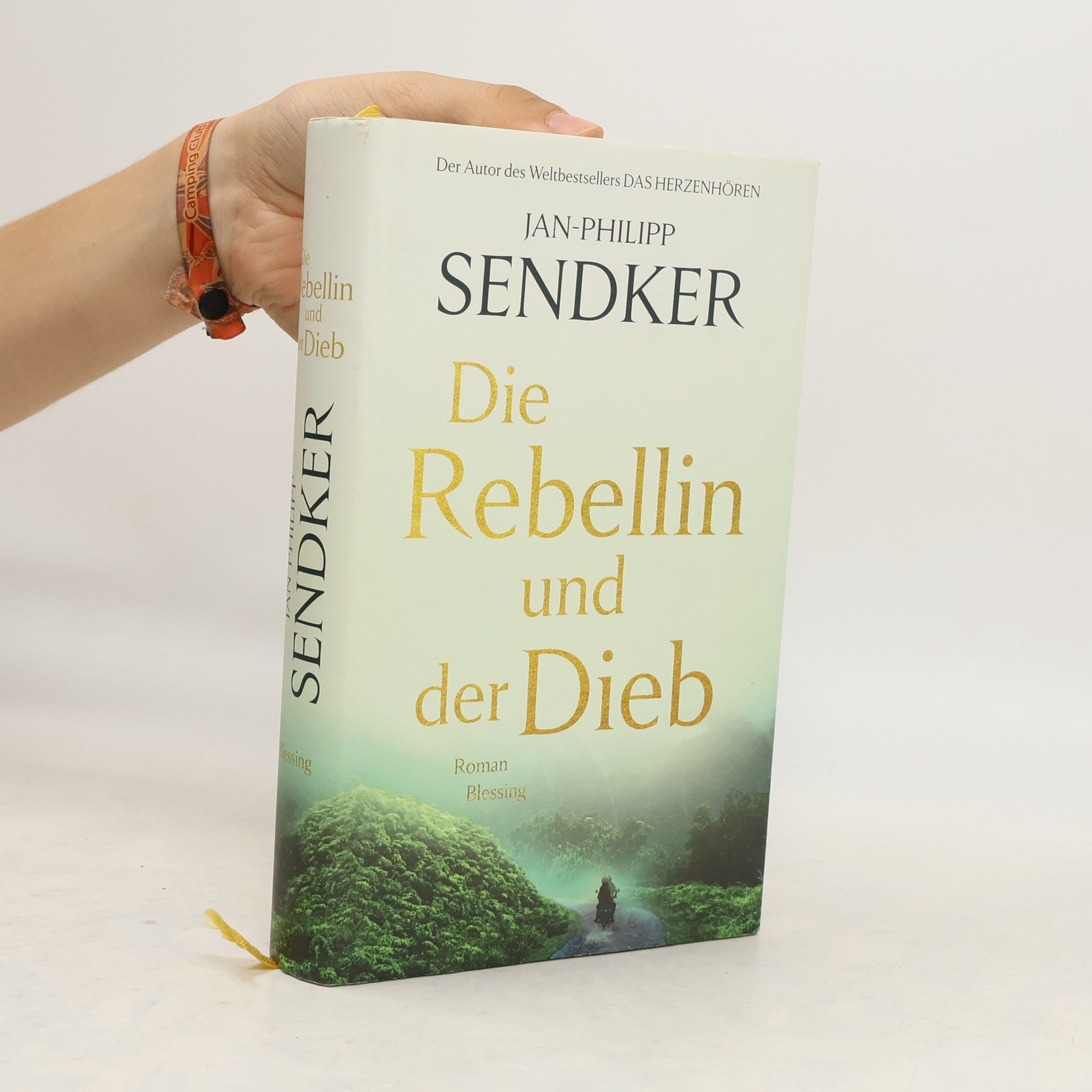 Jan-Philipp Sendker Die Rebellin und der Dieb