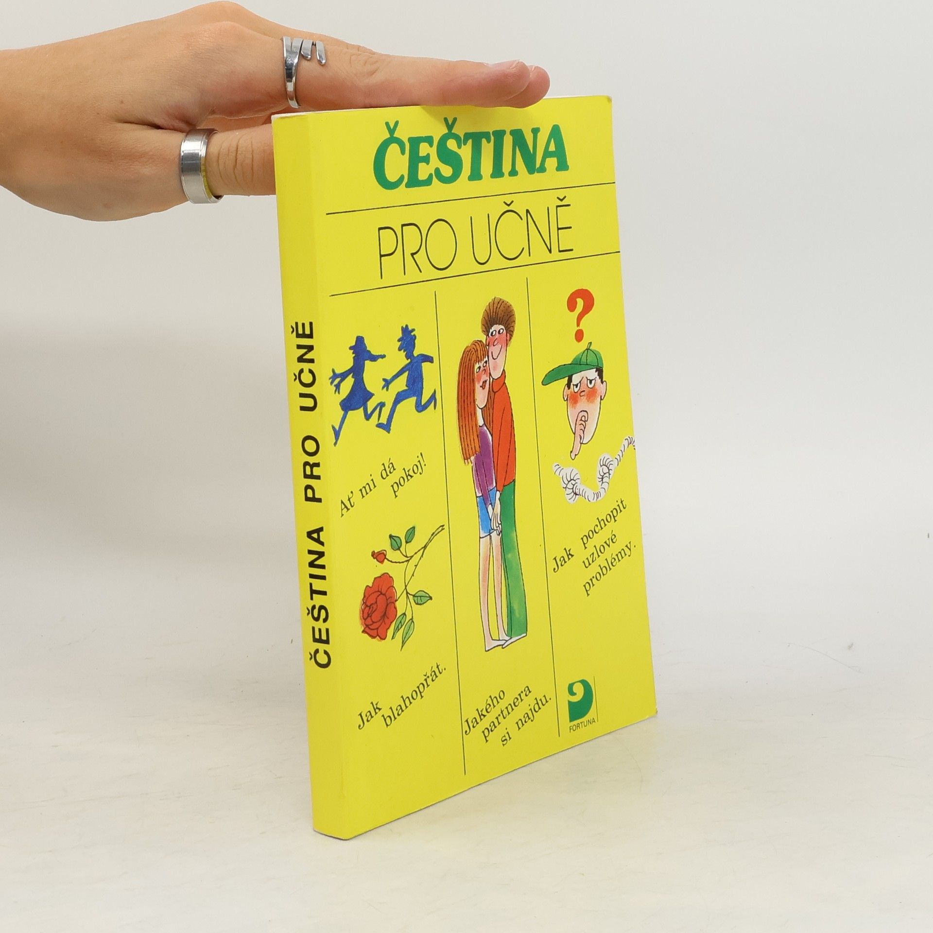 Autorenkollektiv Čeština pro učně
