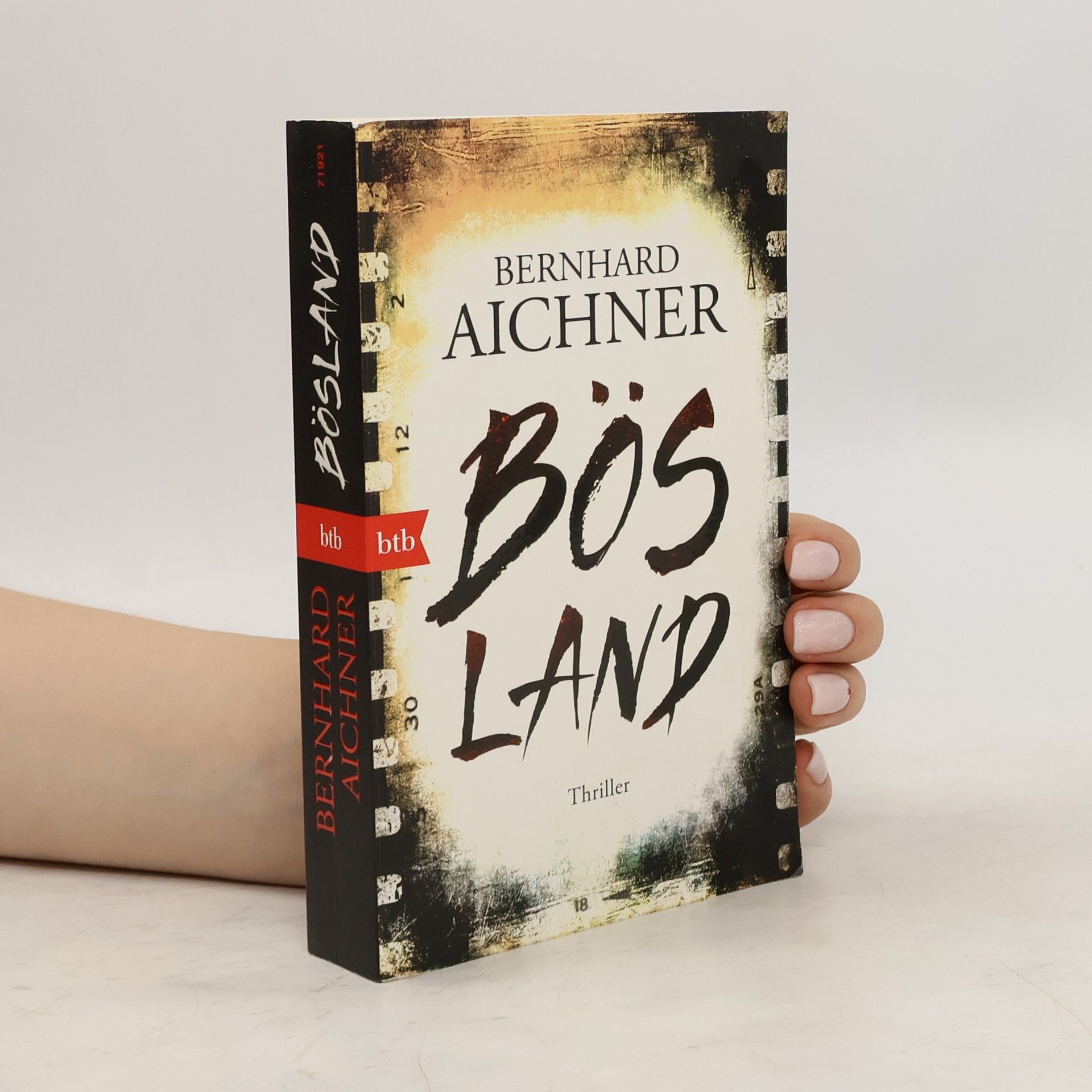 Bernhard Aichner Bösland