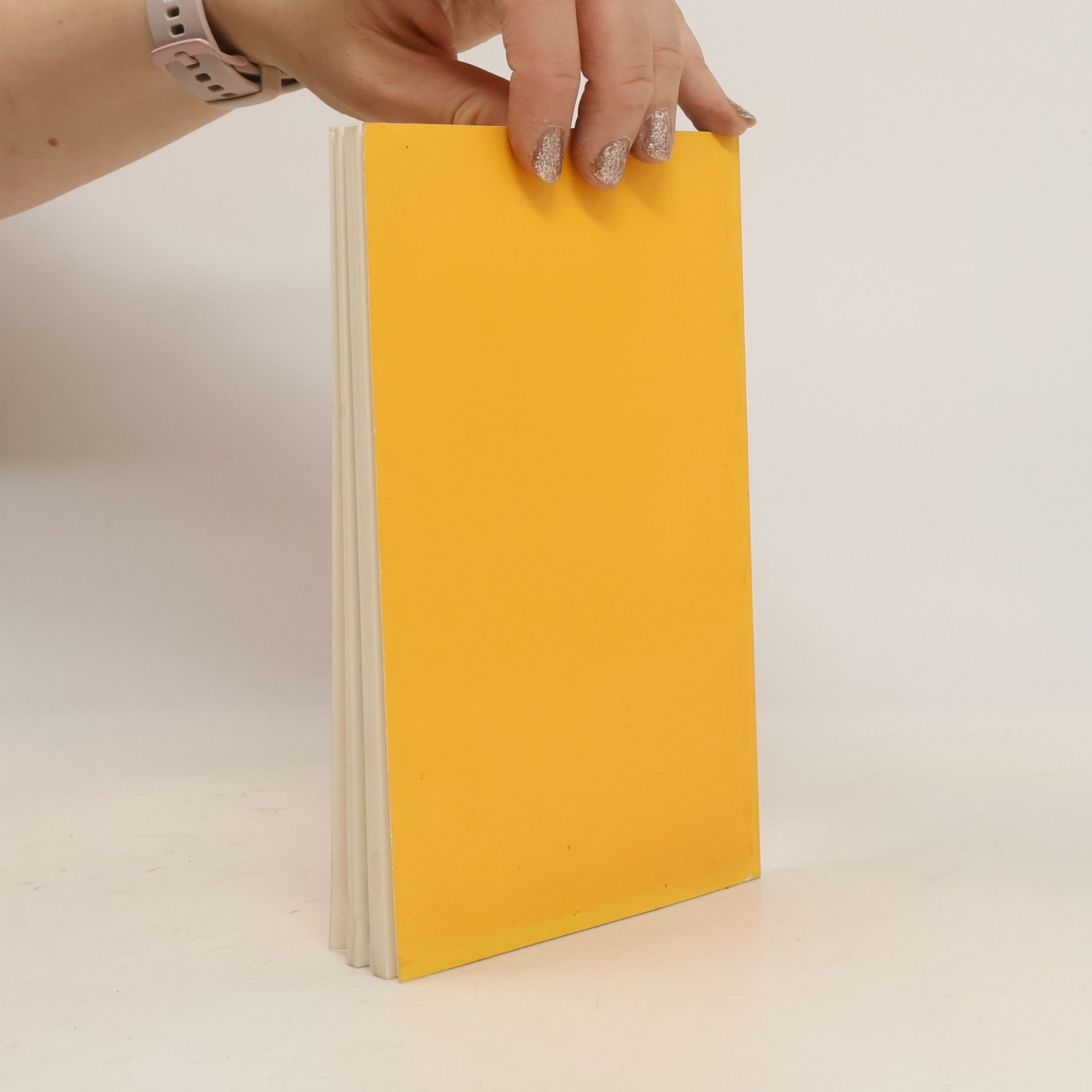 Autorenkollektiv Anthologie 13