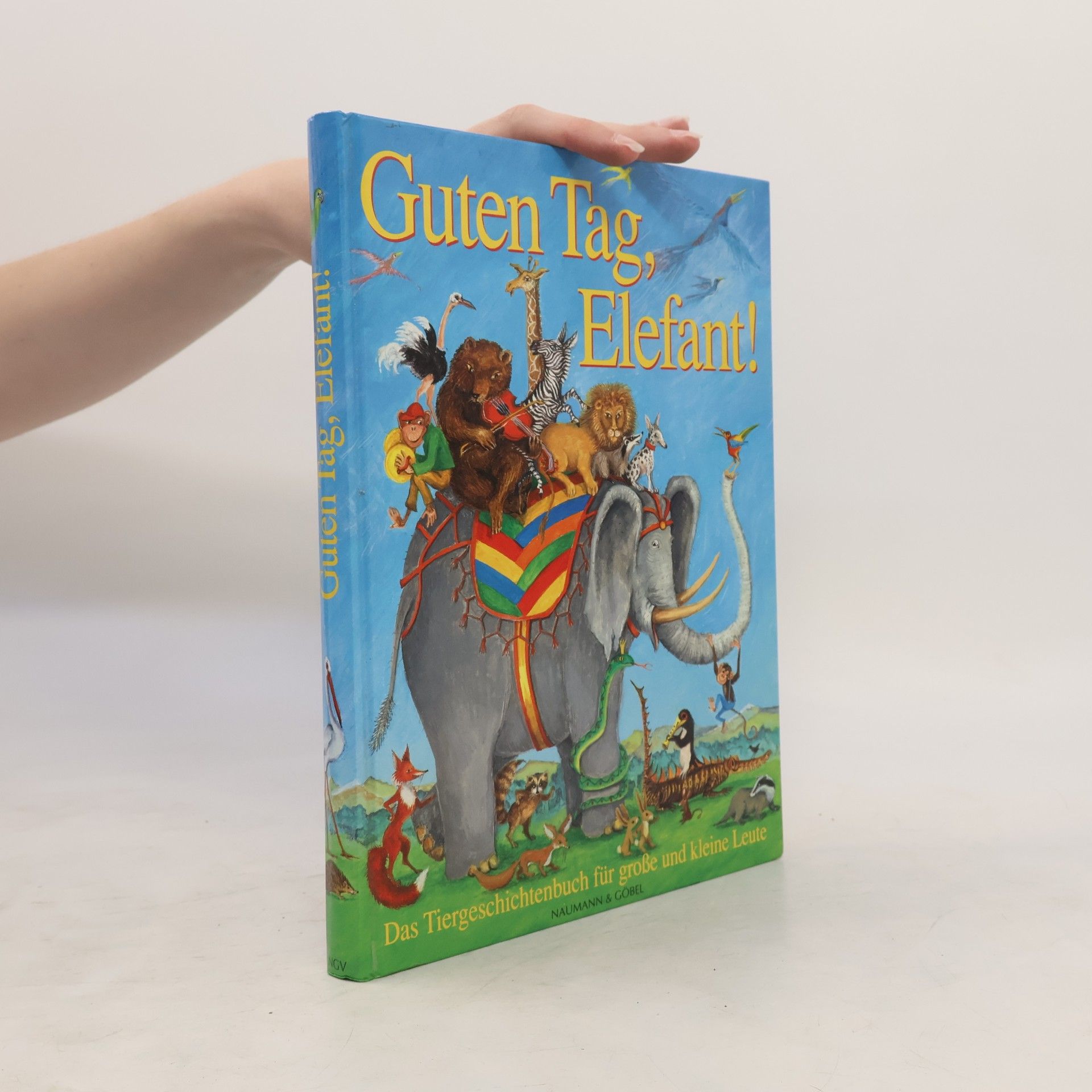 Mouche Vormstein Guten Tag, Elefant!