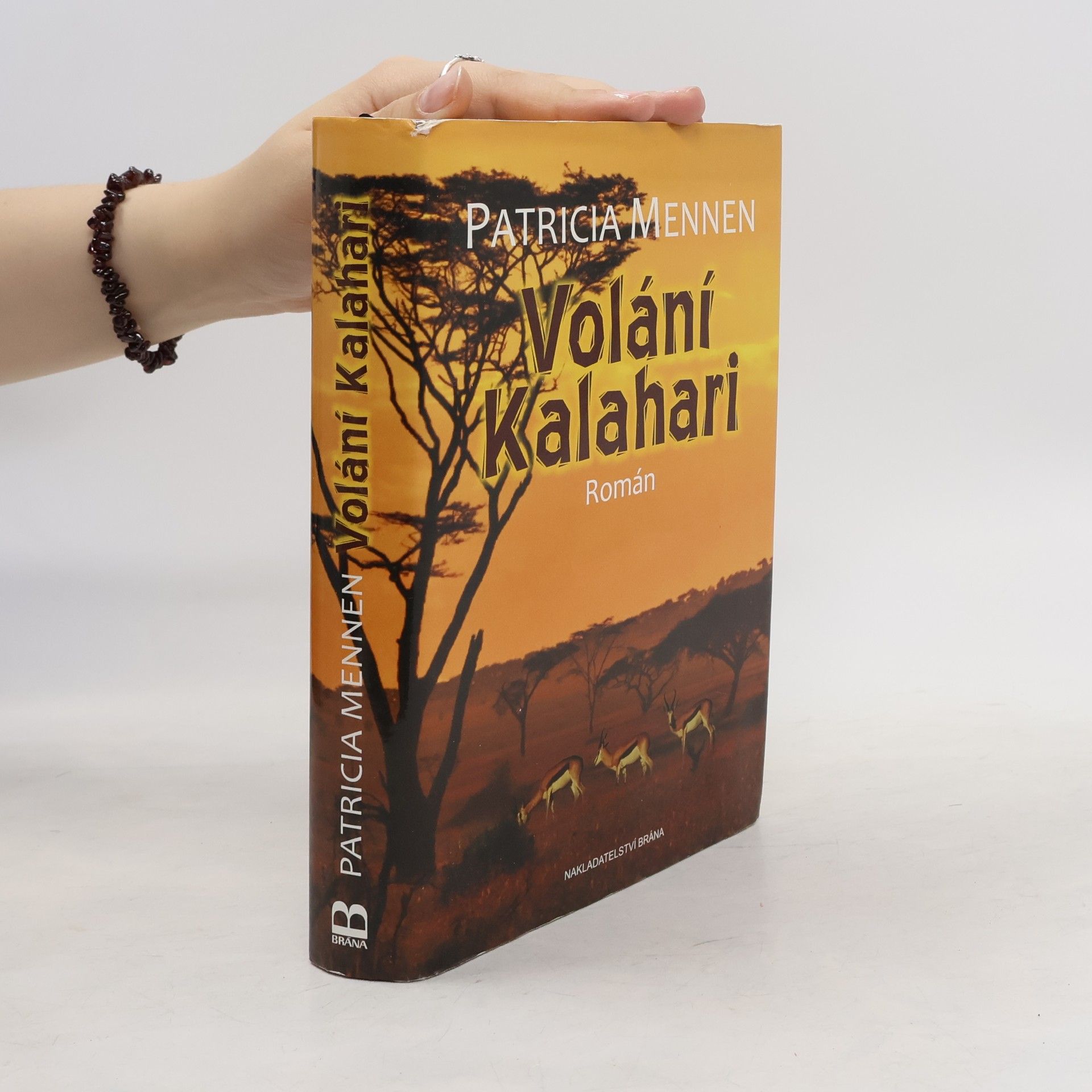 Patricia Mennen Volání Kalahari