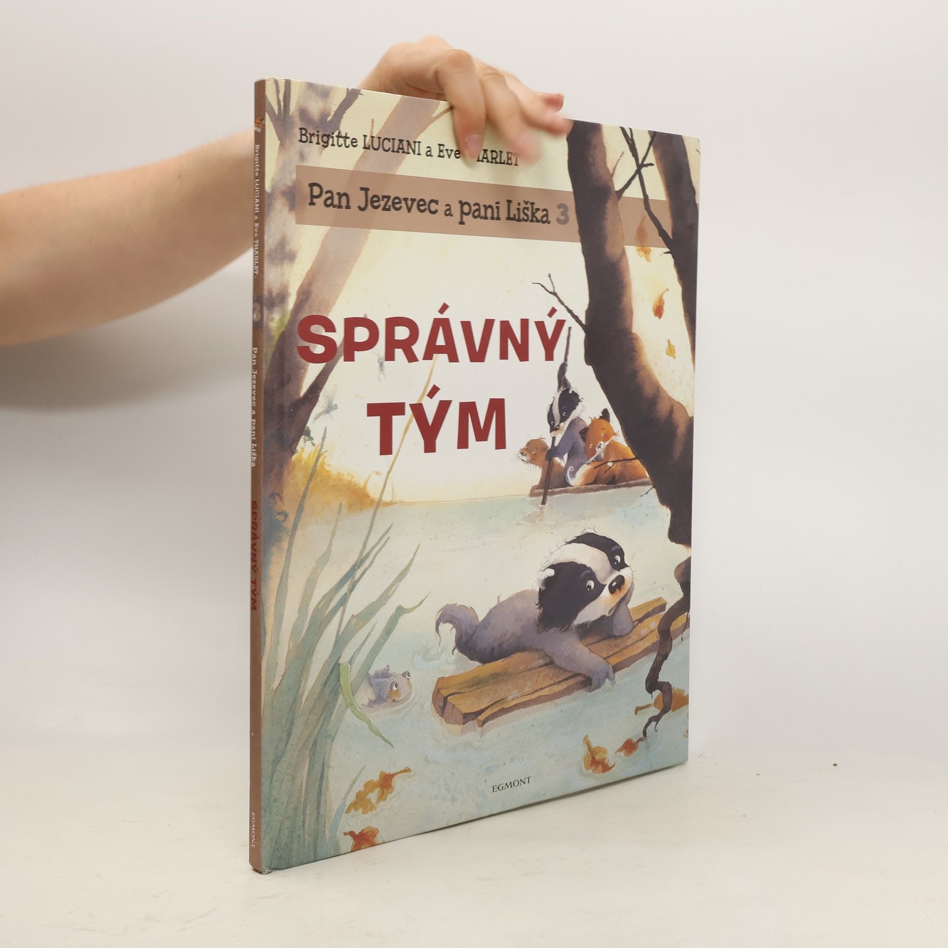 Brigitte Luciani Správný tým