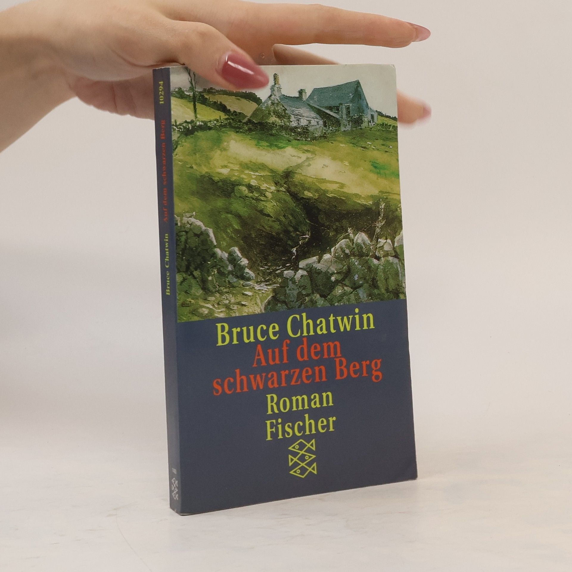 Bruce Chatwin Auf dem schwarzen Berg