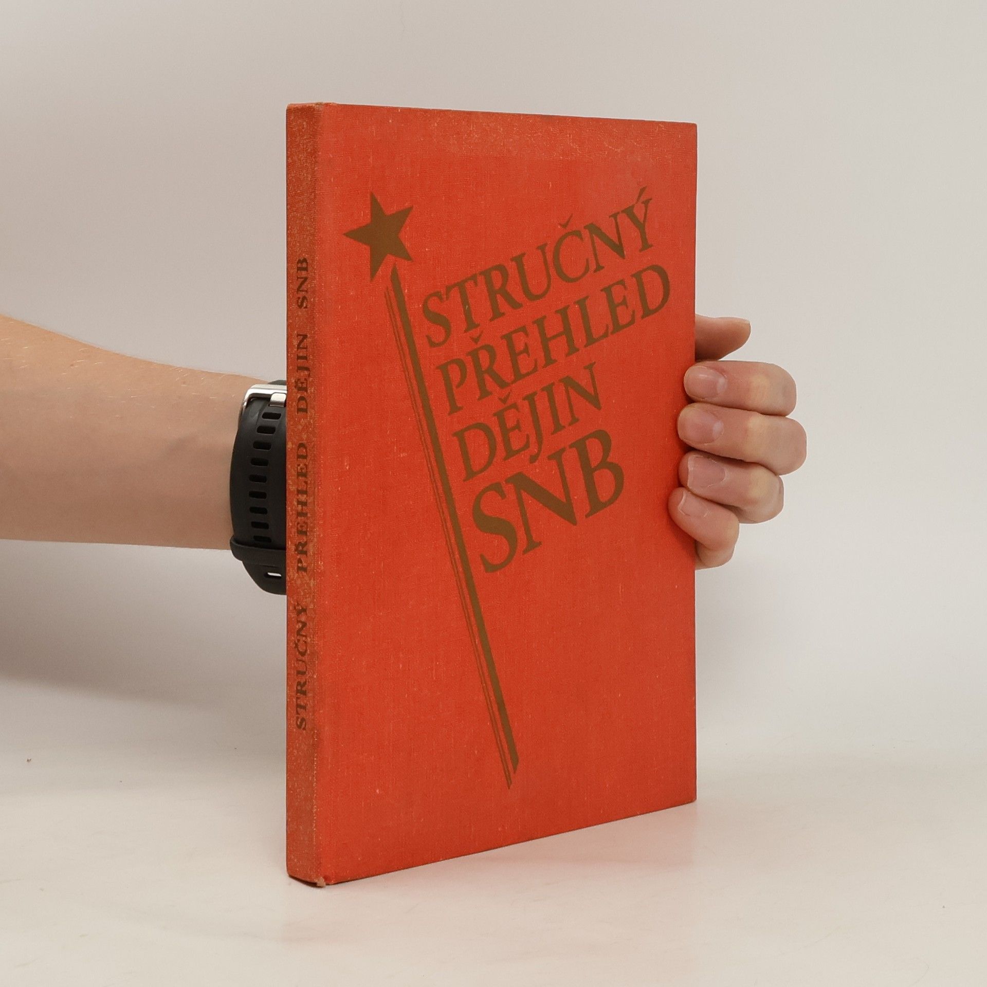 Kolektiv autorů Stručný přehled dějin SNB