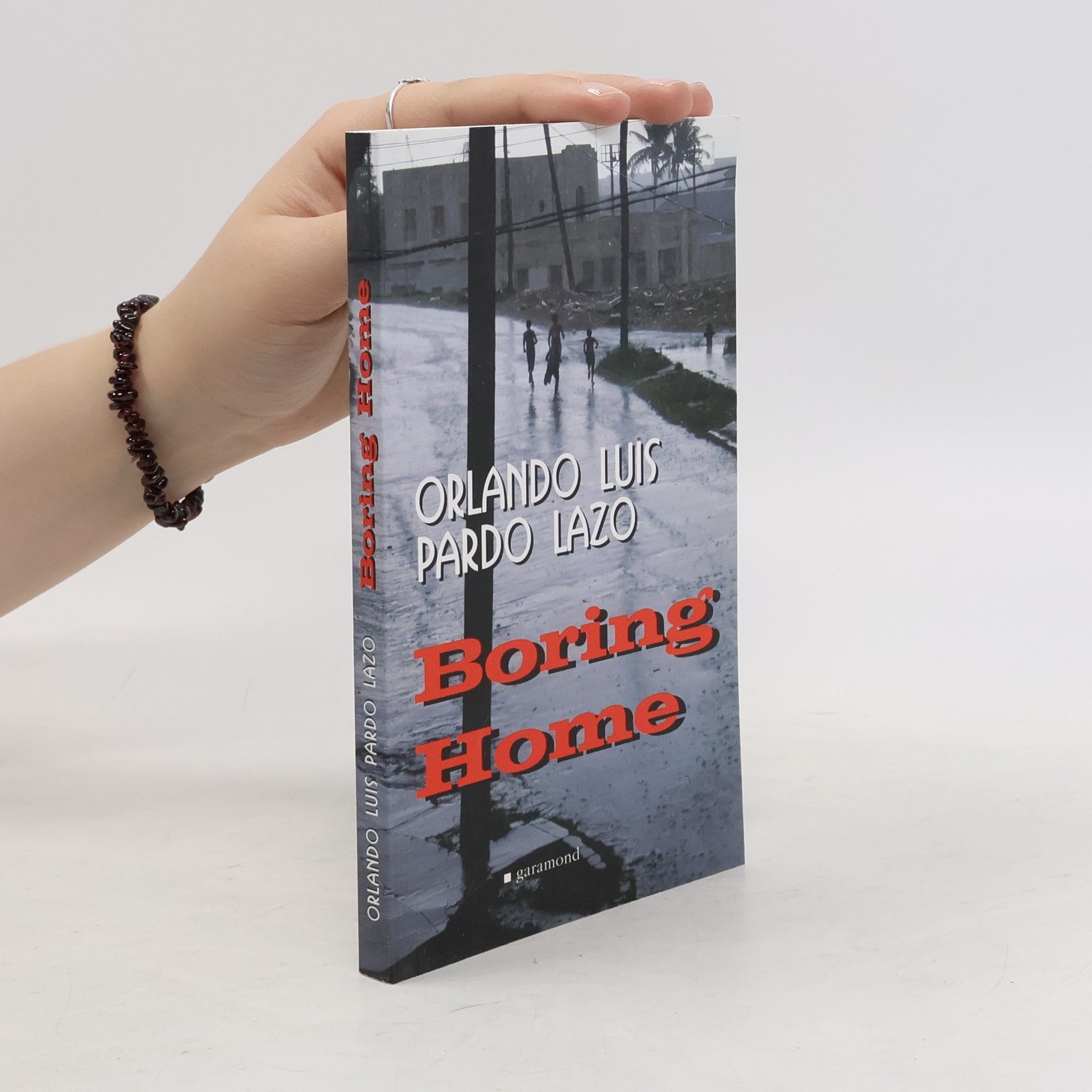 Orlando Louis Pardo Lazo Boring home