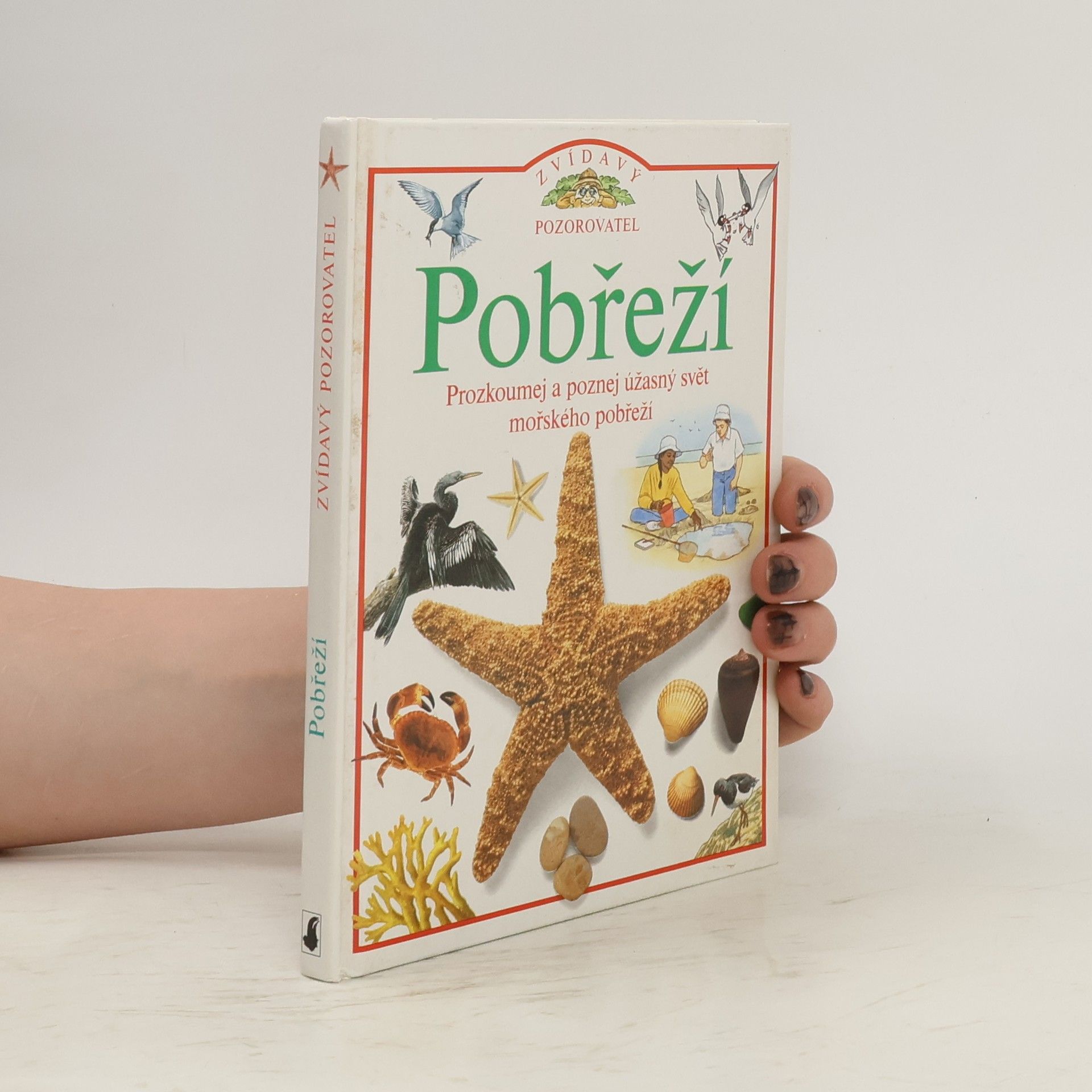 David Burnie Pobřeží