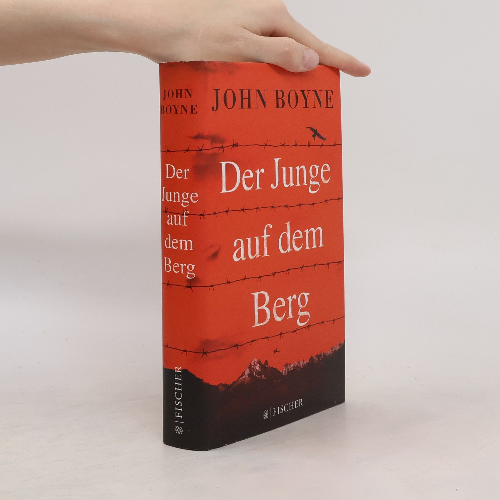 John Boyne Der Junge auf dem Berg