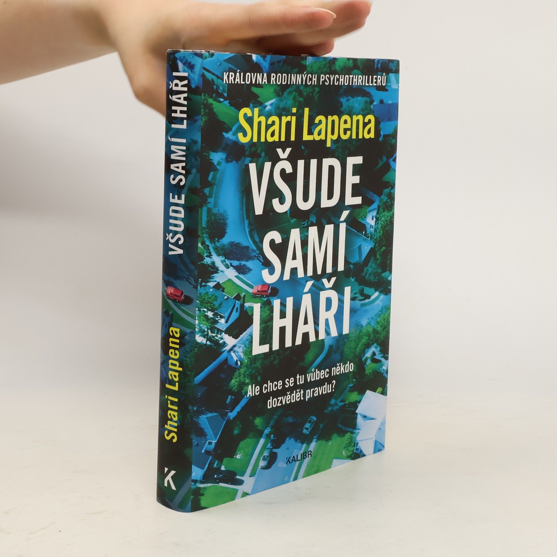 Shari Lapena Všude samí lháři