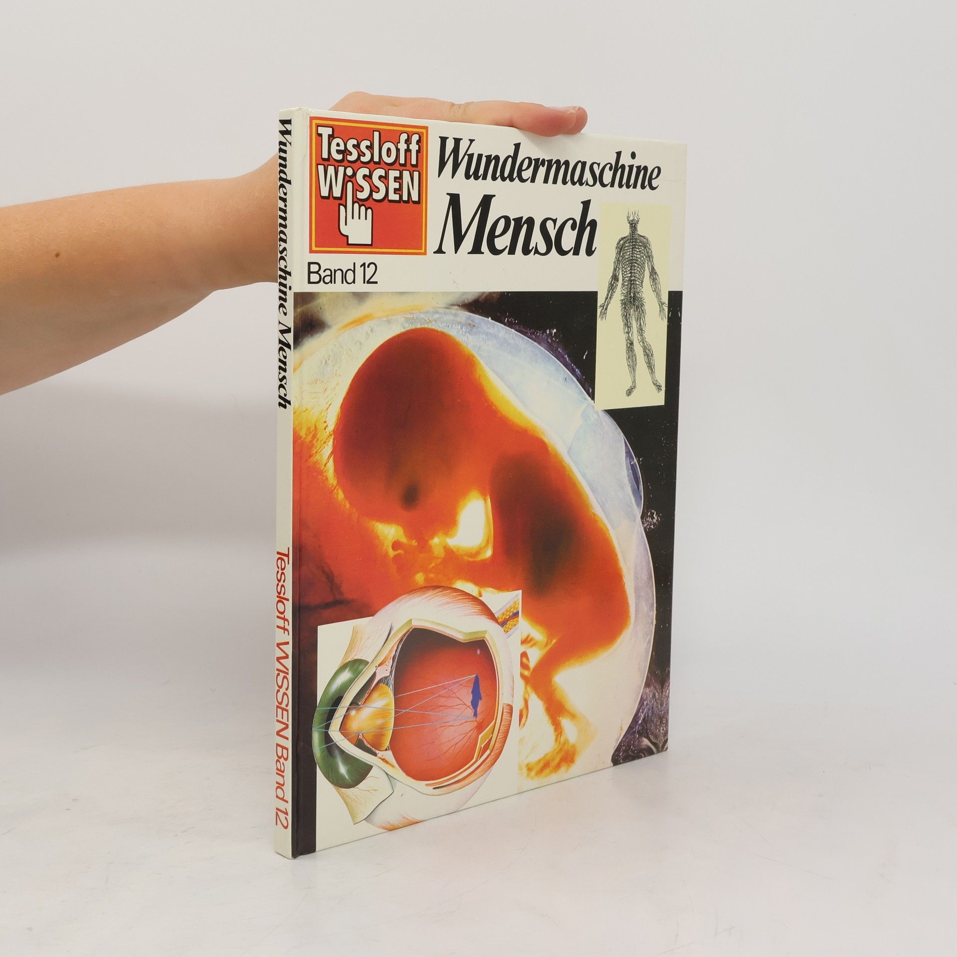 Jonathan Rutland Wundermaschine Mensch 12